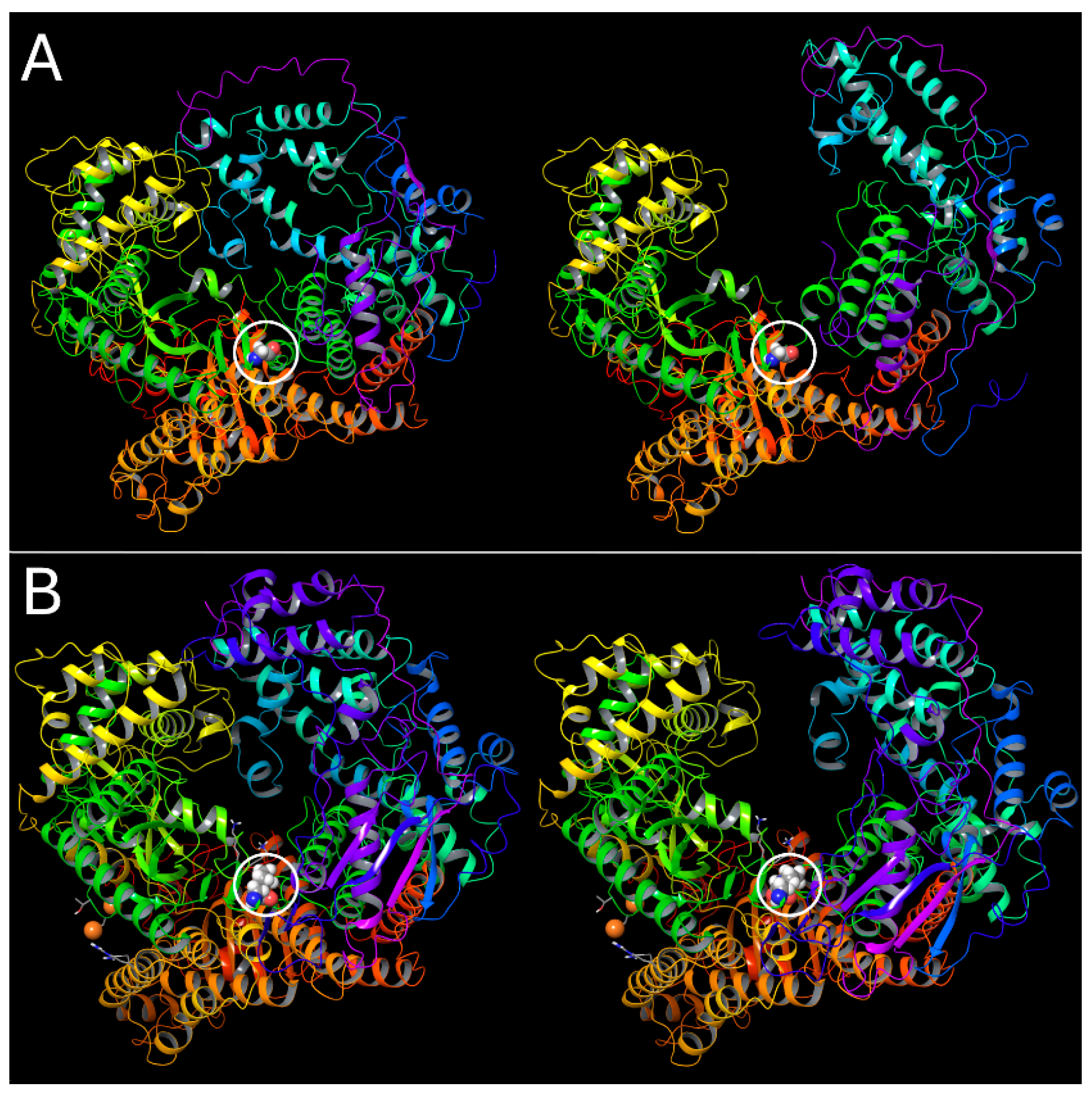 Pathogens 13 00829 g012 Pathogens 13 00829 g012