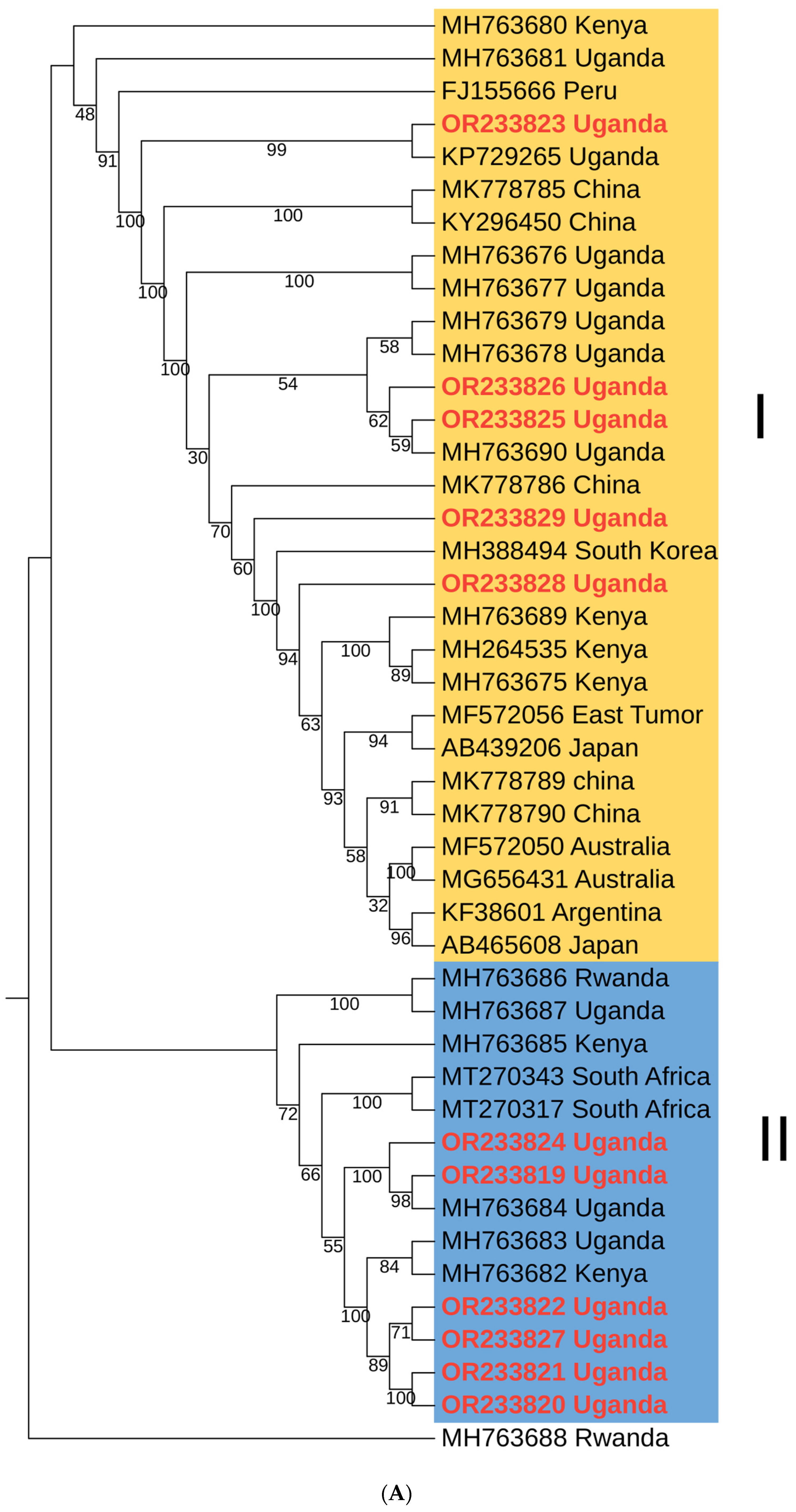 Pathogens 13 00833 g004a
