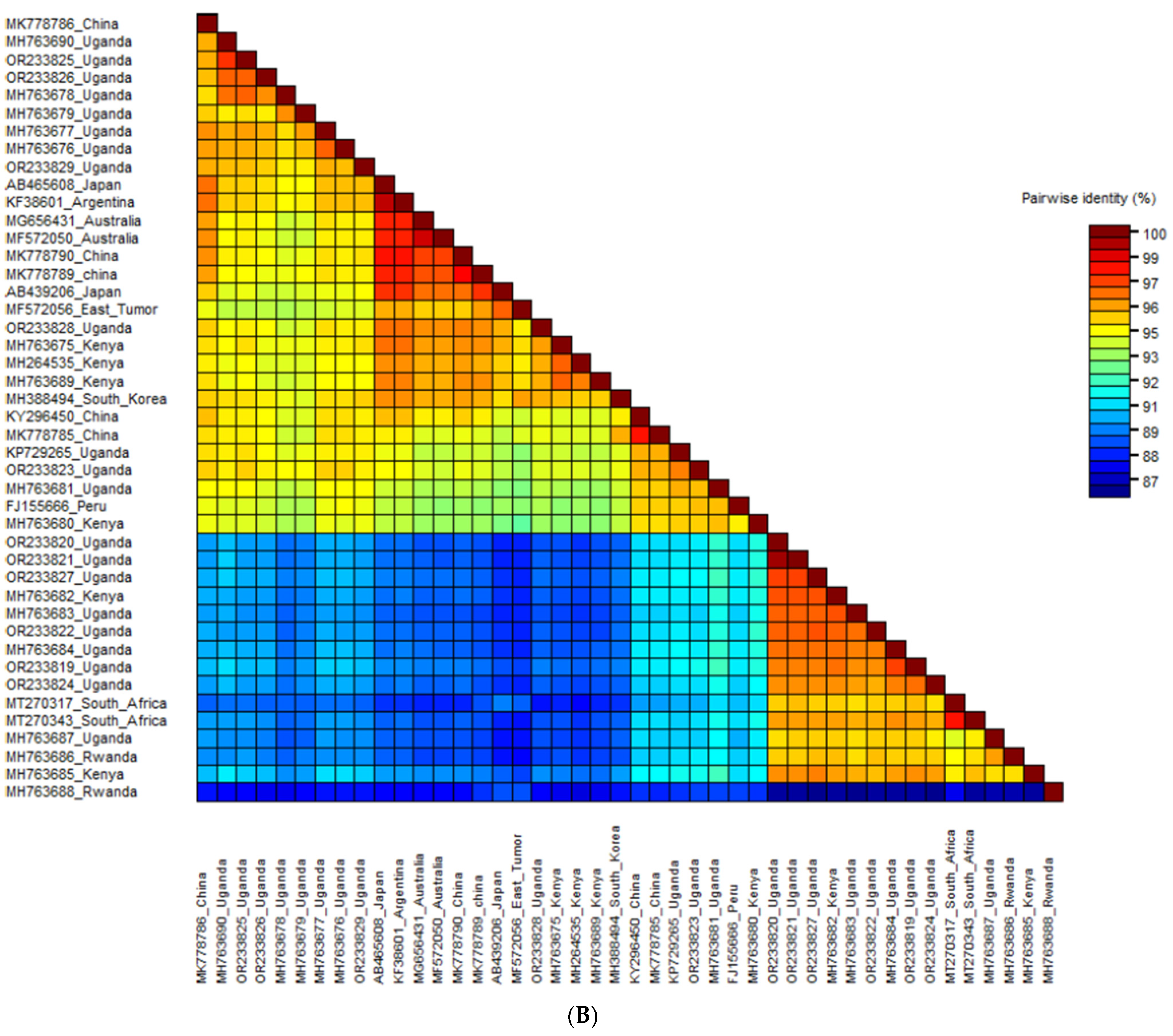 Pathogens 13 00833 g004b