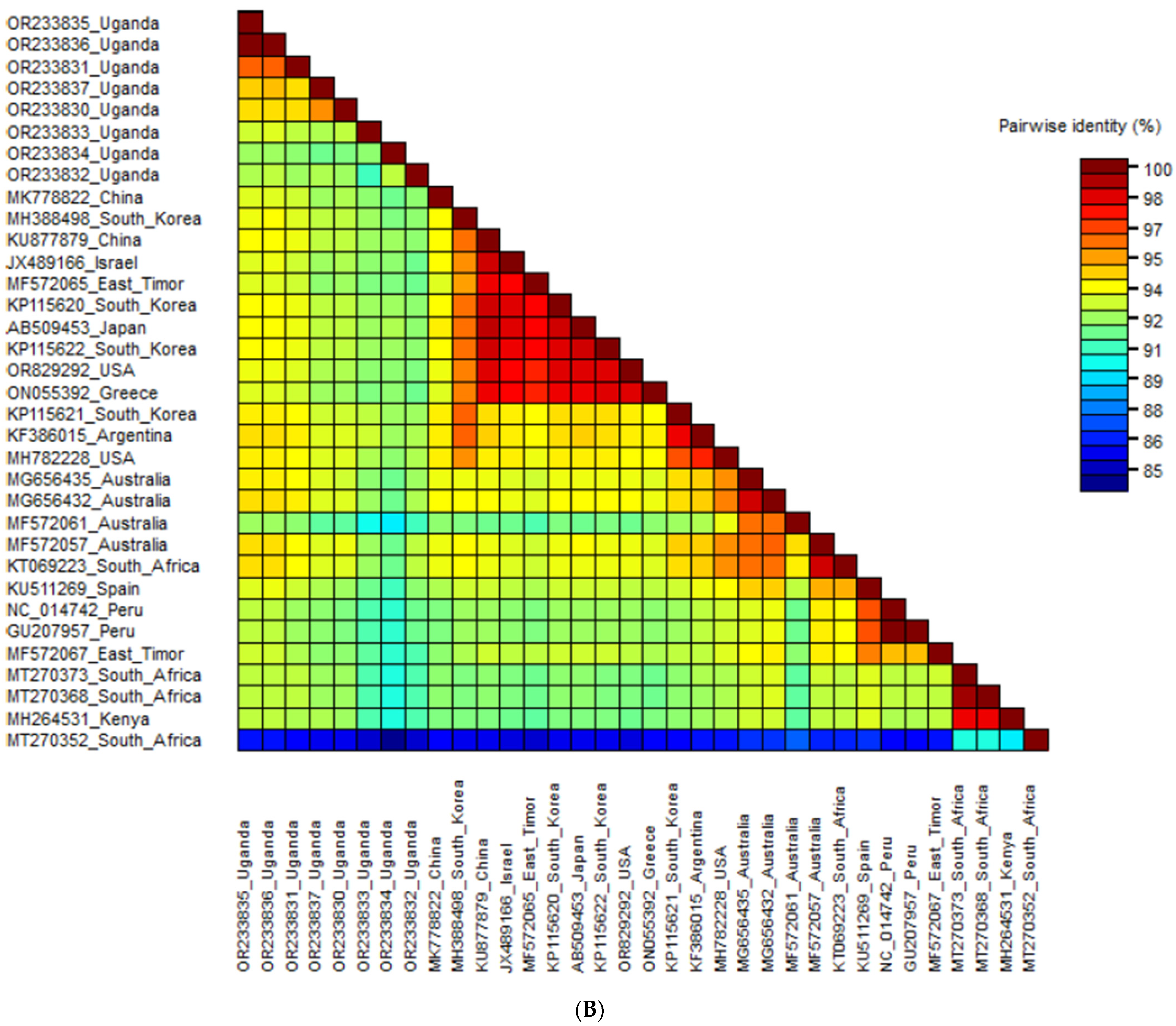 Pathogens 13 00833 g005b