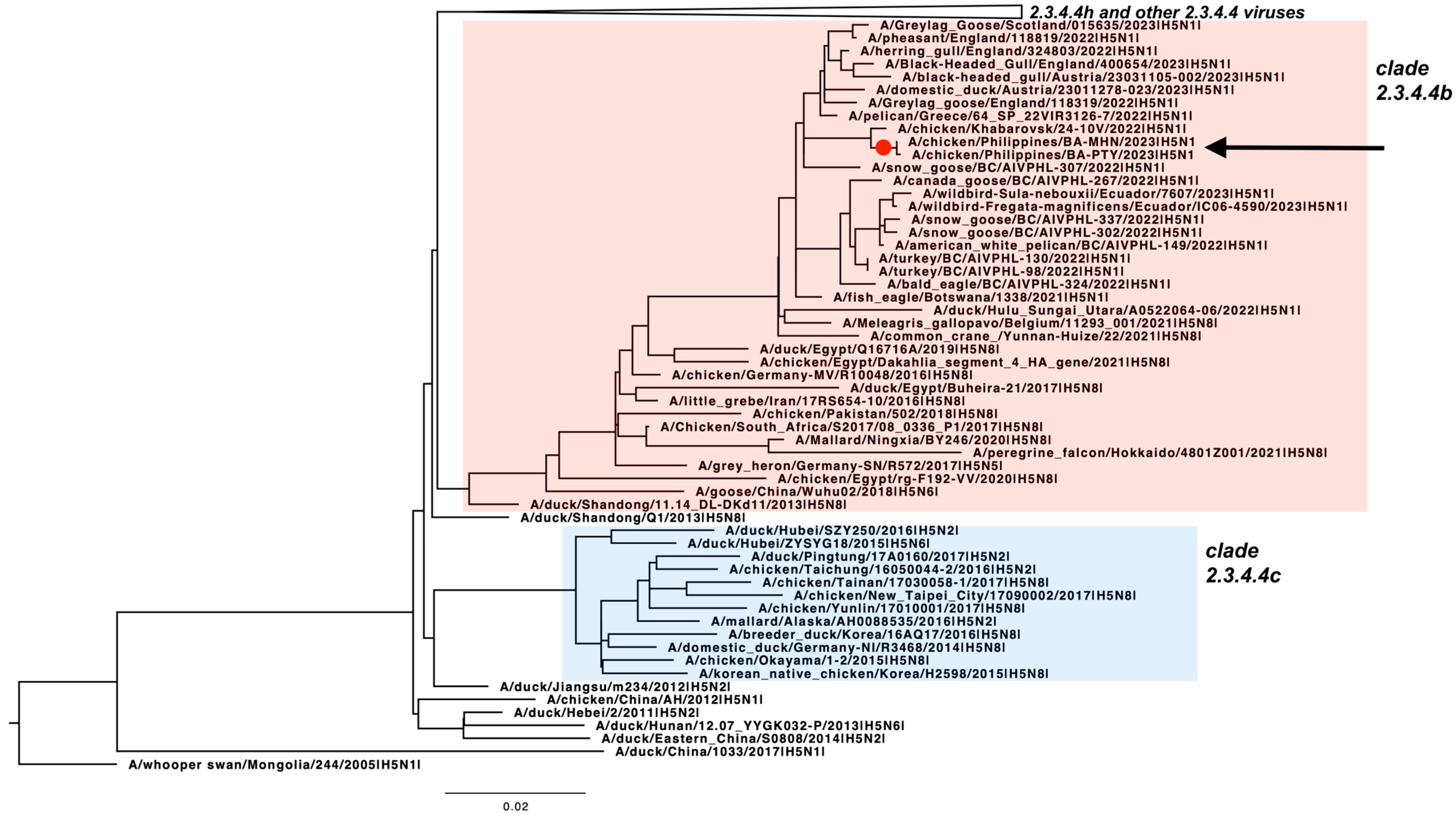 Pathogens 13 00844 g001