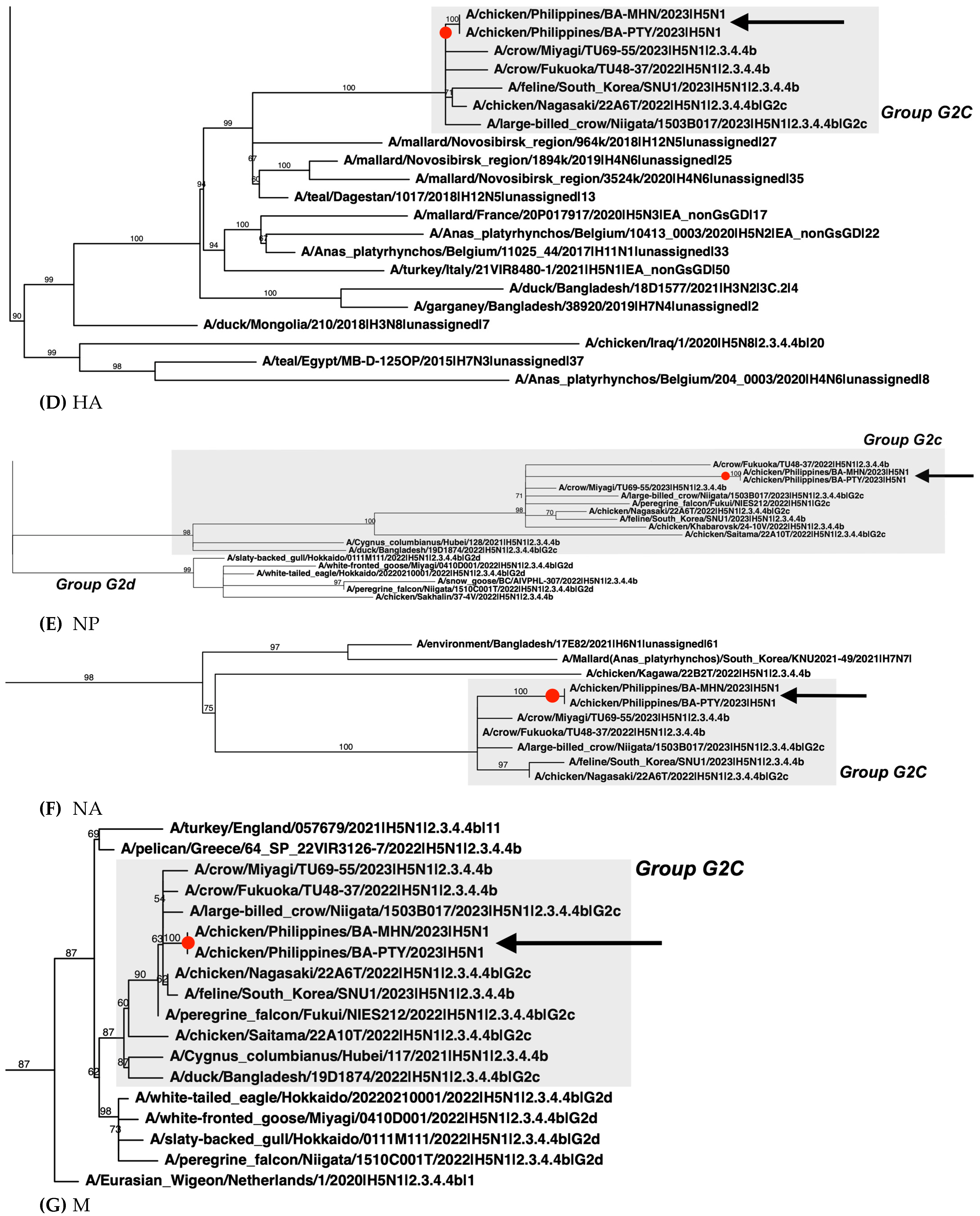 Pathogens 13 00844 g002b