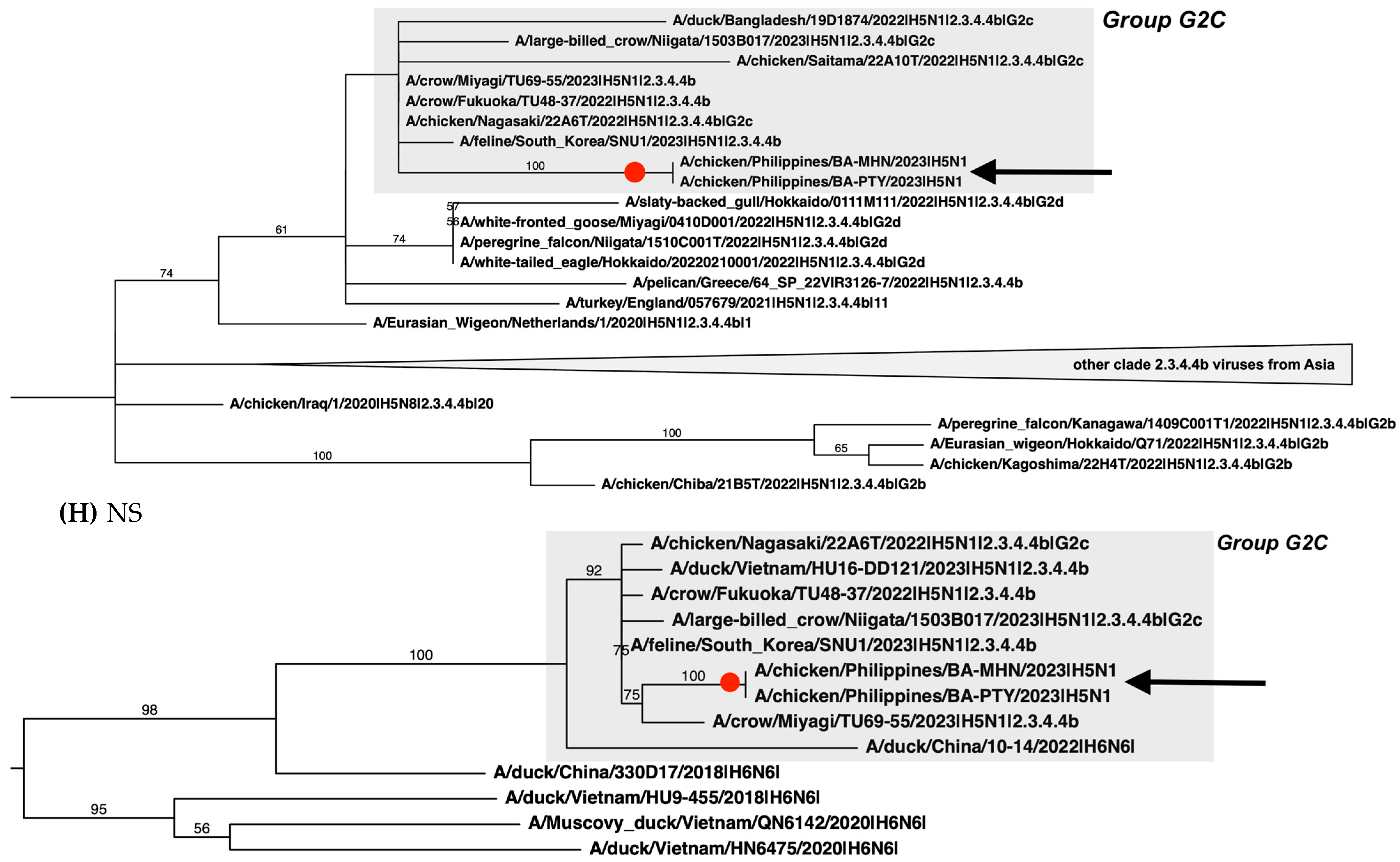 Pathogens 13 00844 g002c