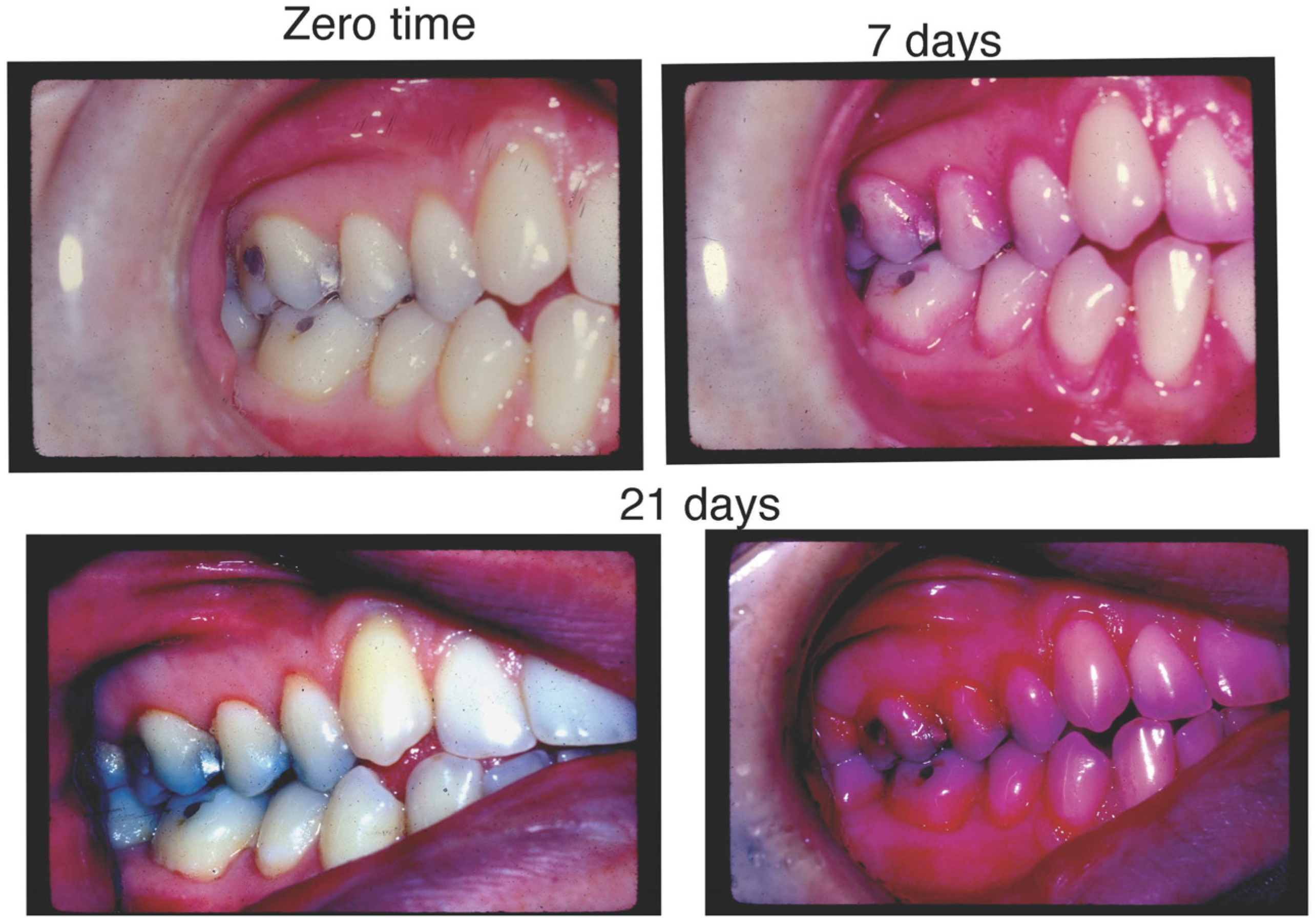 Pathogens 13 00849 g002