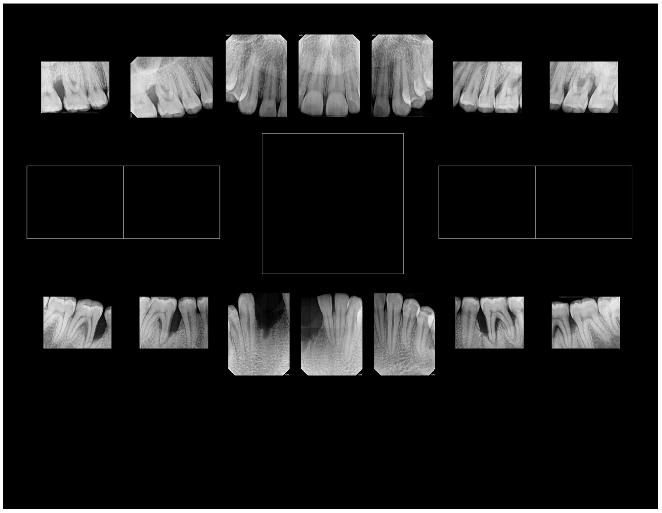 Pathogens 13 00849 g004