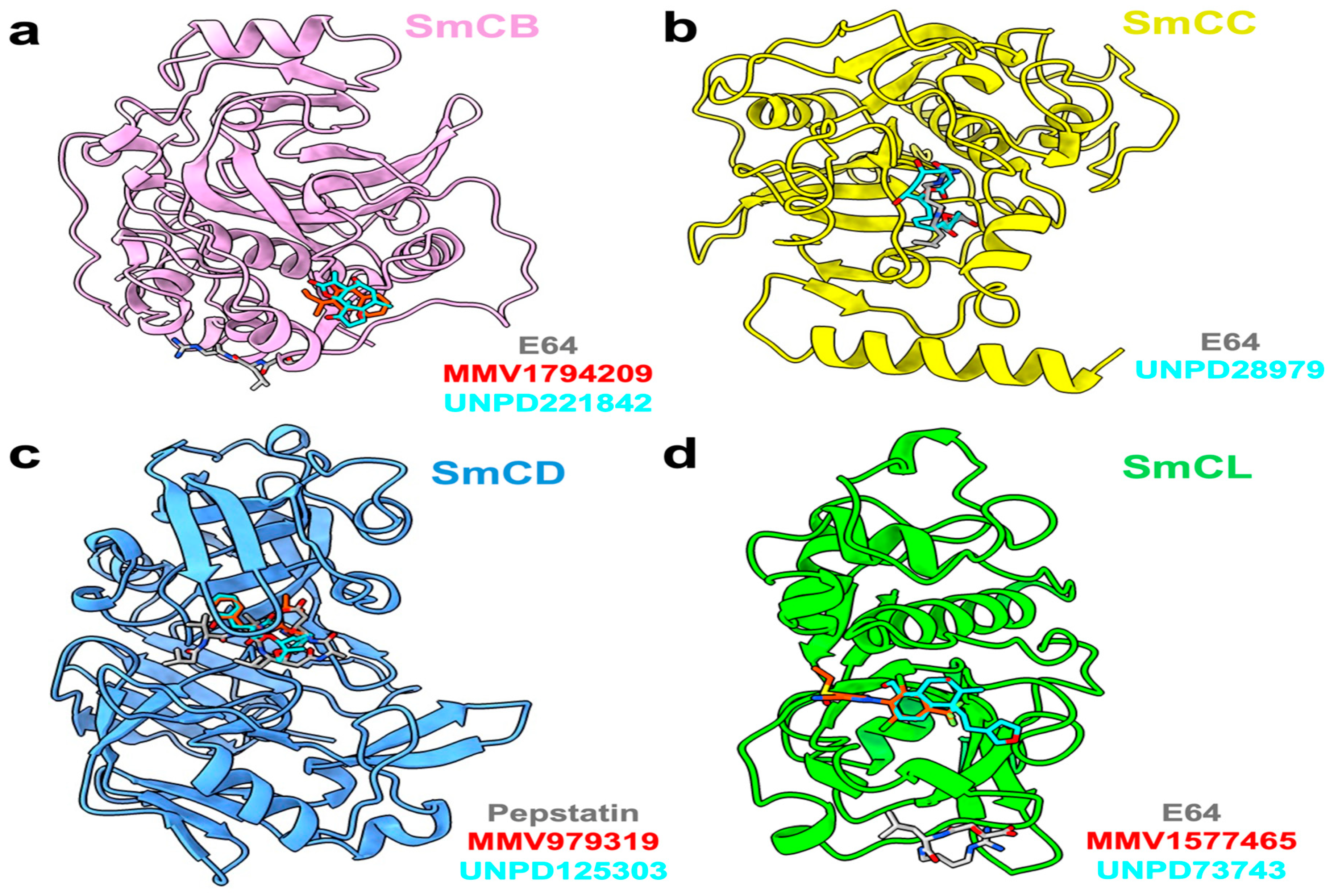 Pathogens 13 00850 g006