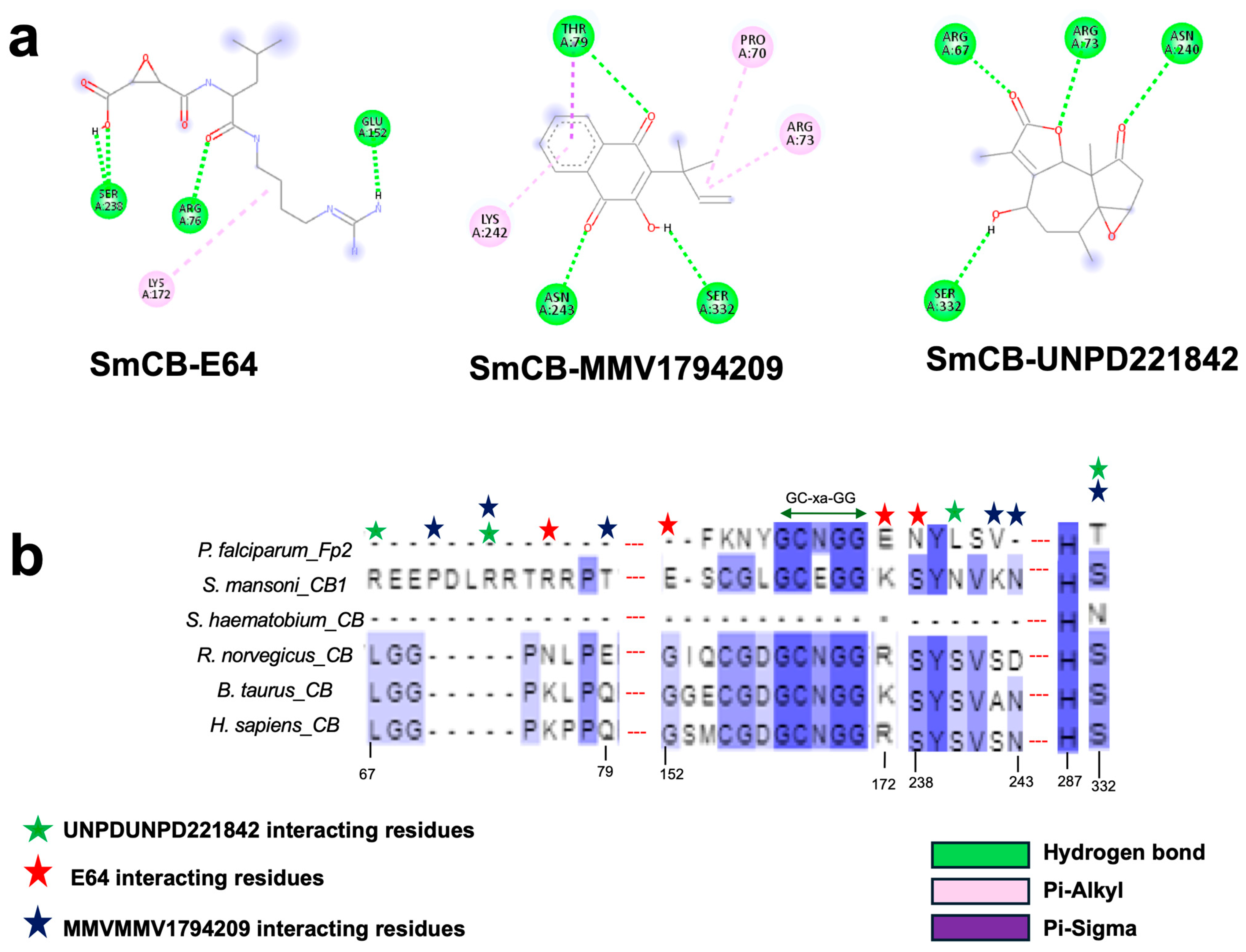 Pathogens 13 00850 g007