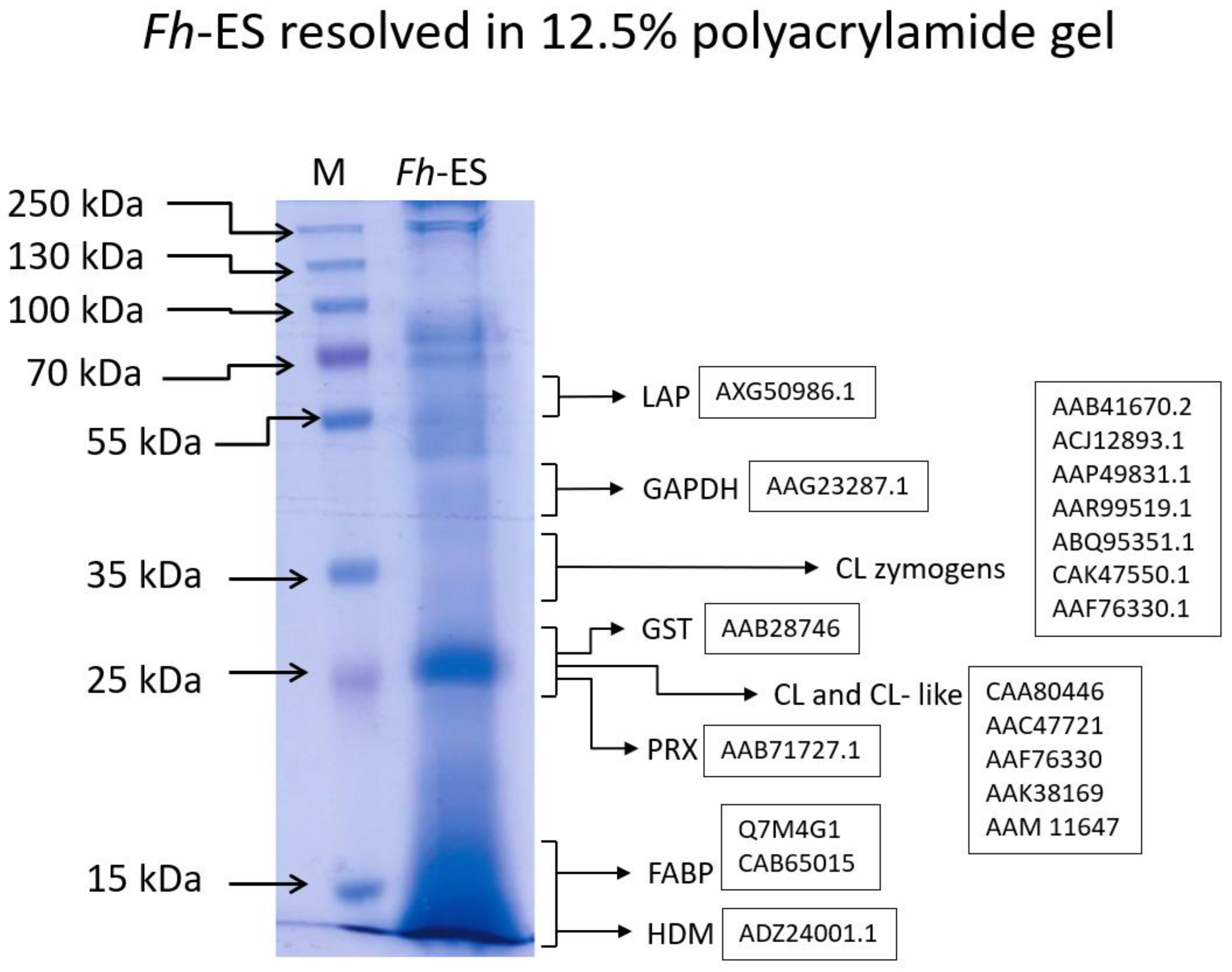Pathogens 13 00854 g001