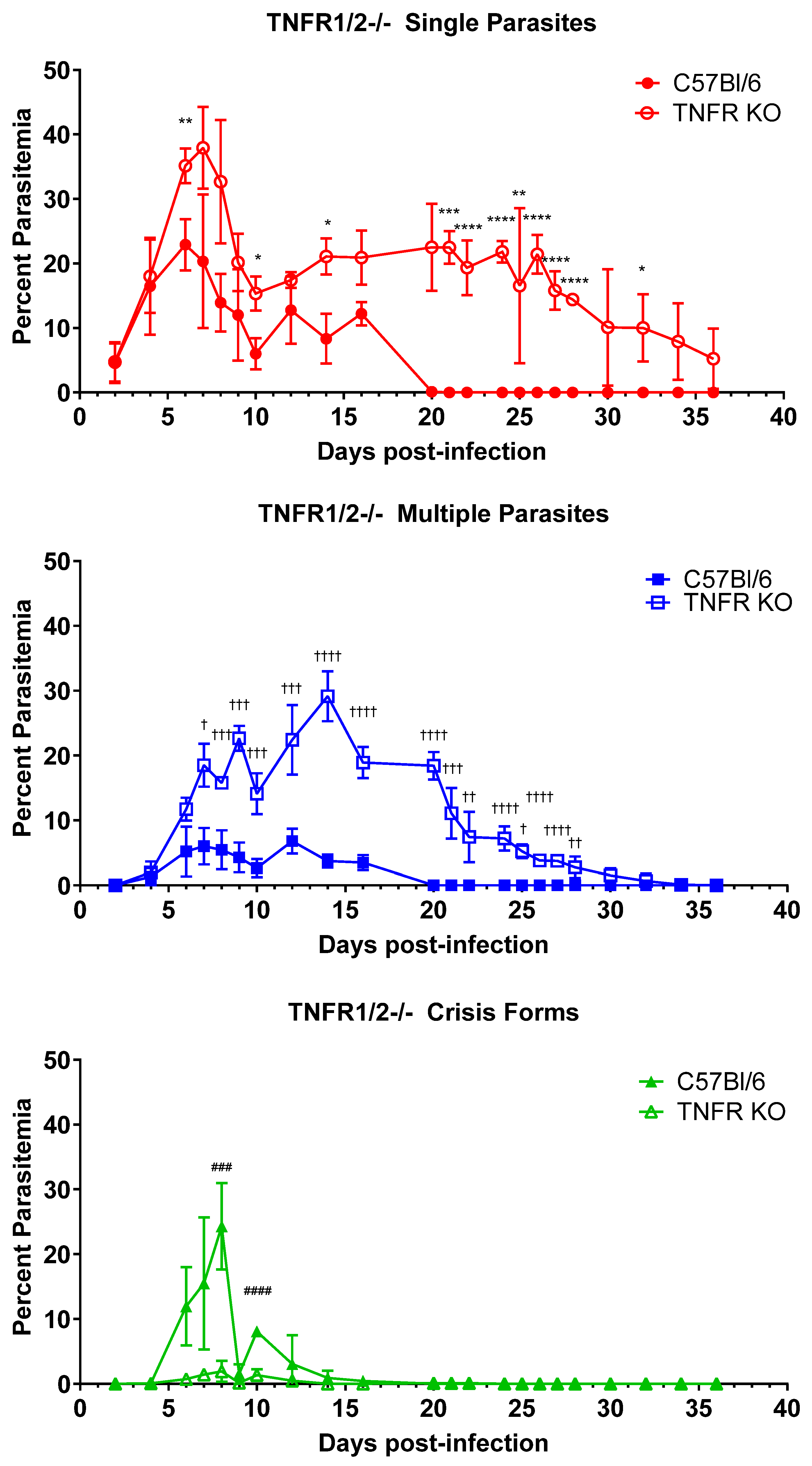 Pathogens 13 00858 g002
