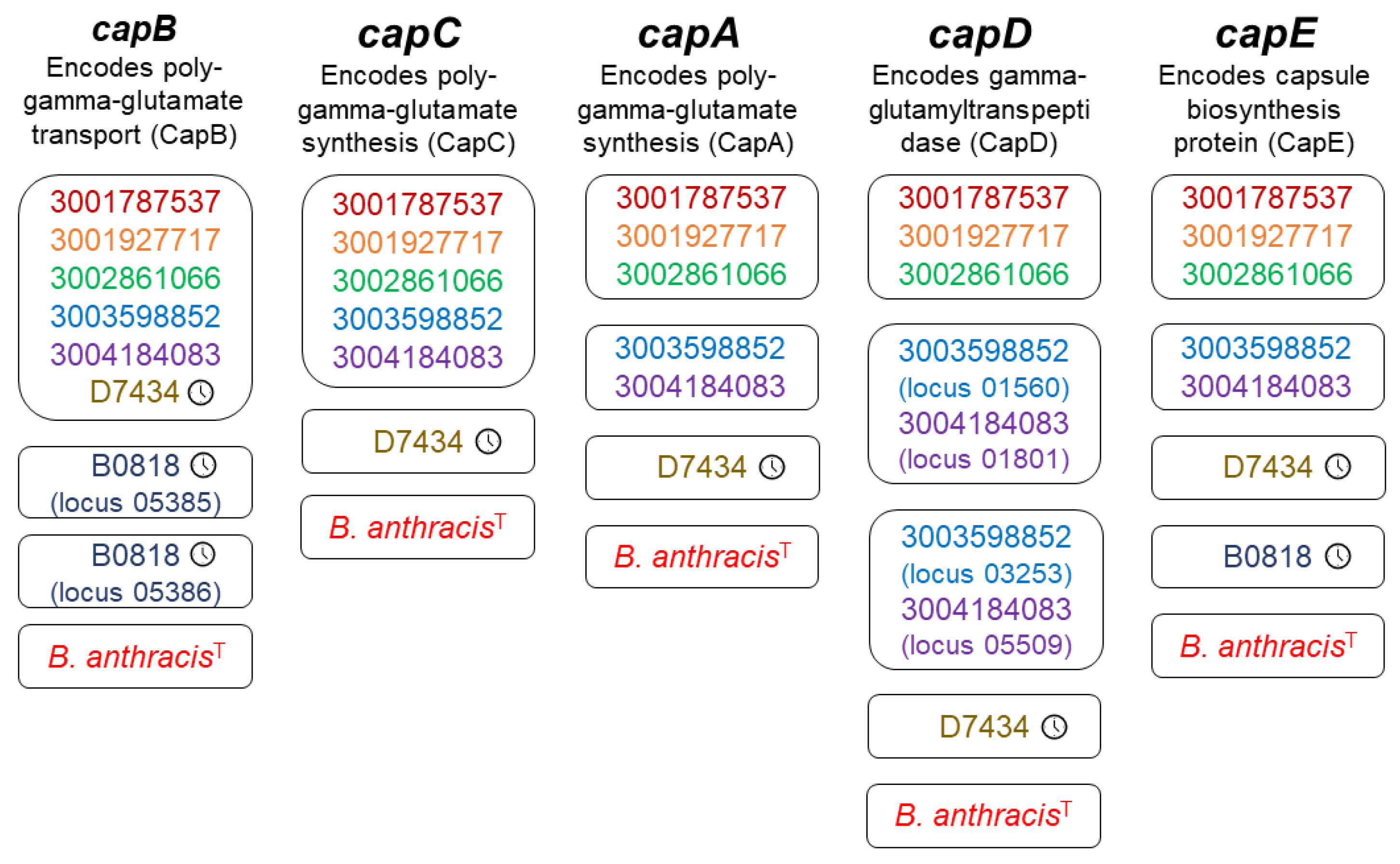 Pathogens 13 00884 g002 Pathogens 13 00884 g002