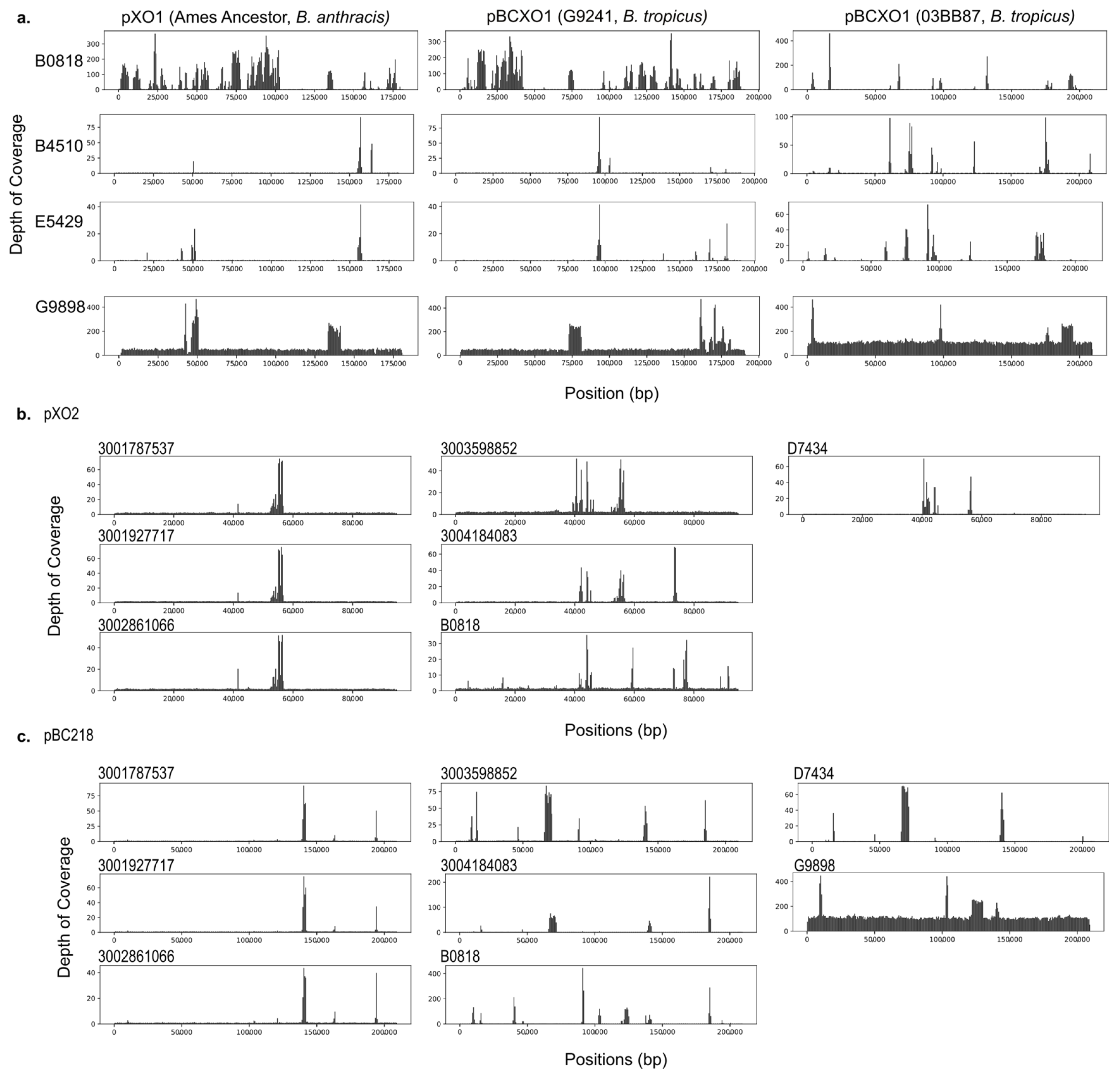 Pathogens 13 00884 g003 Pathogens 13 00884 g003