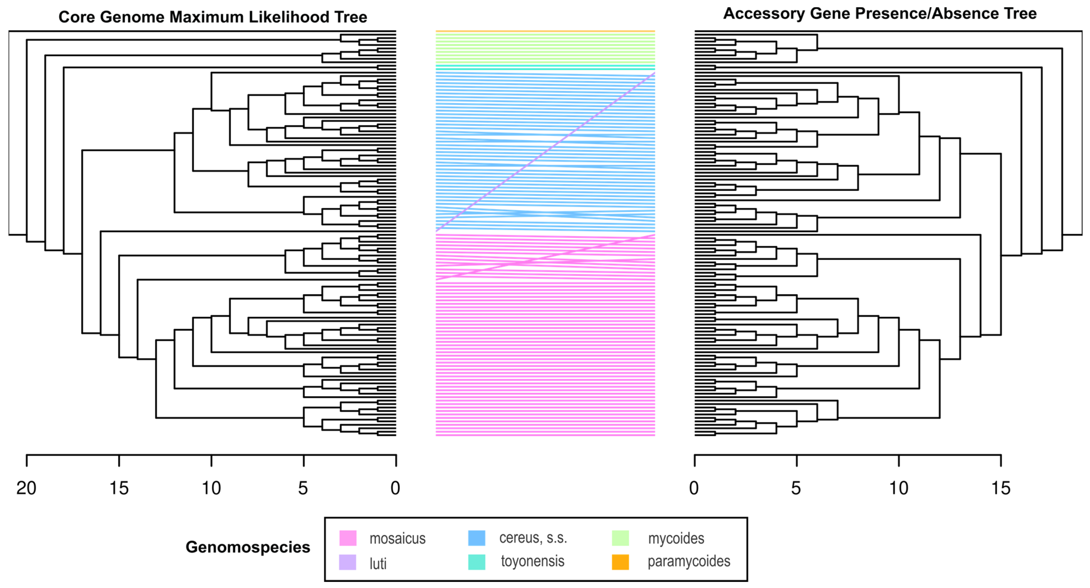 Pathogens 13 00884 g005 Pathogens 13 00884 g005