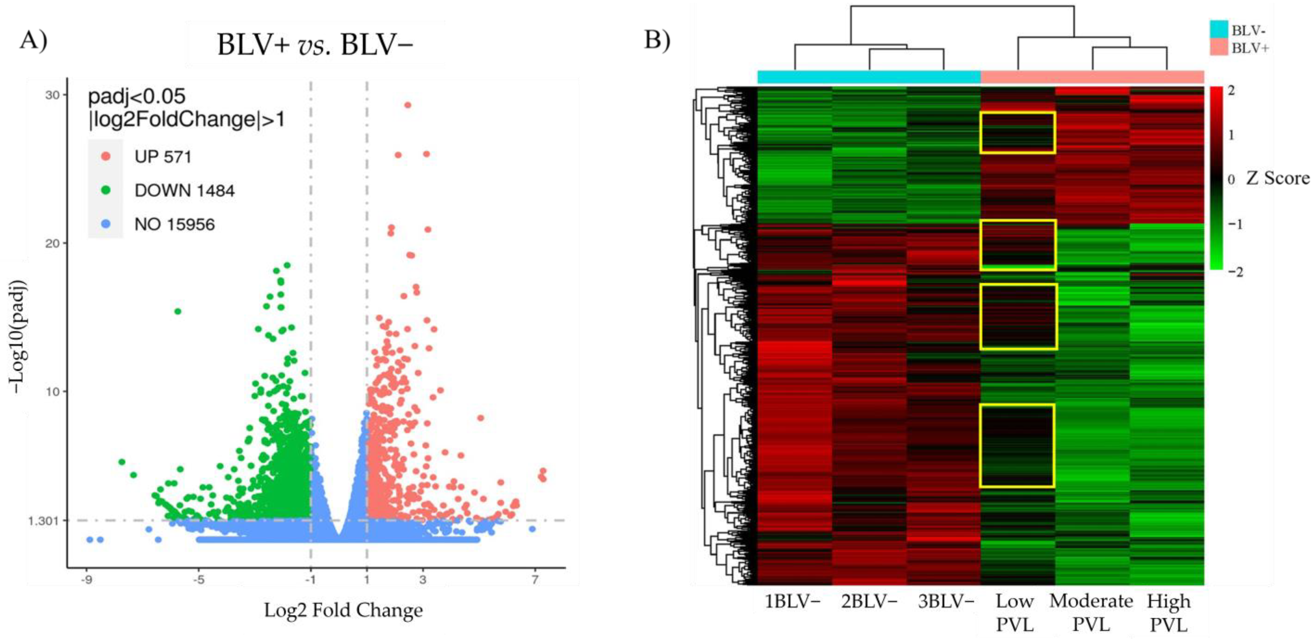 Pathogens 13 00885 g001 Pathogens 13 00885 g001