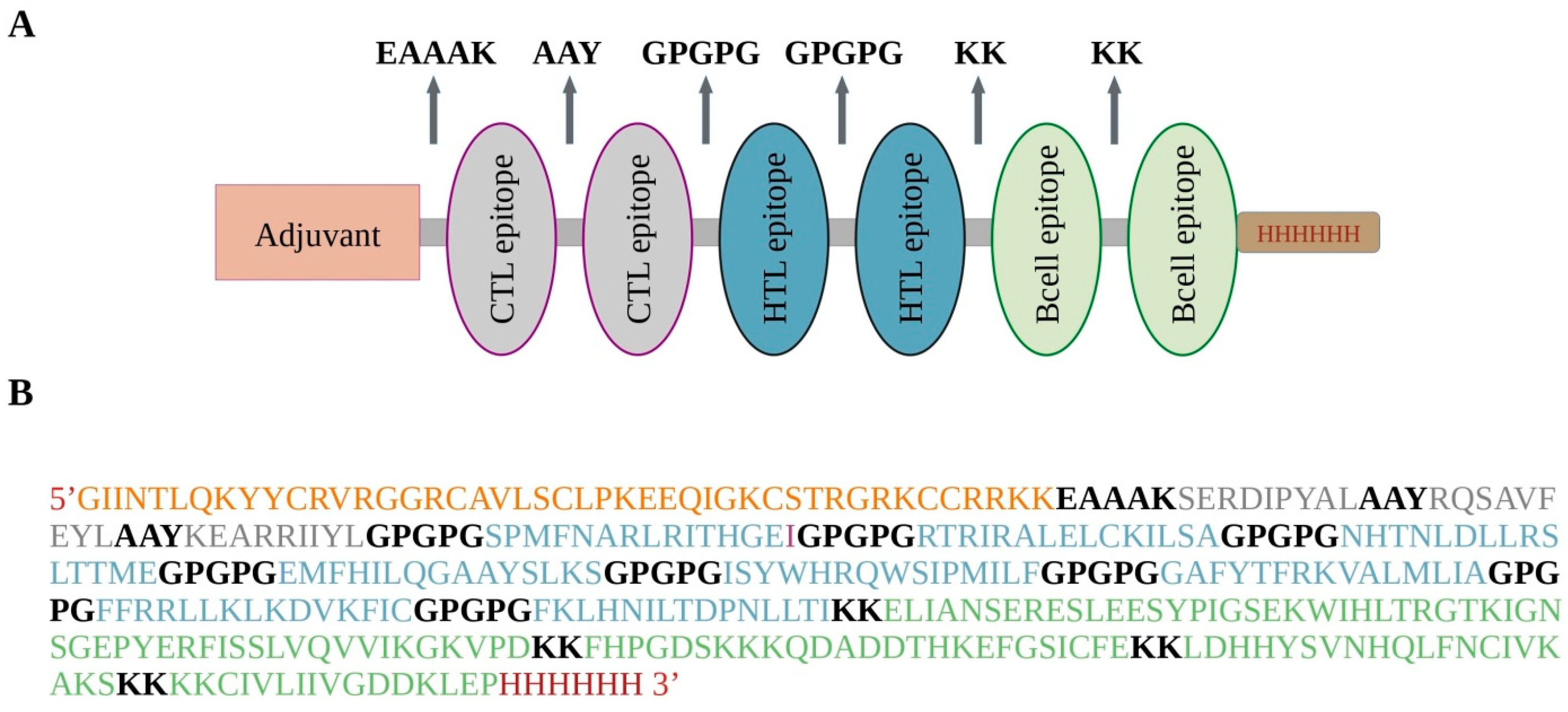 Pathogens 13 00944 g001