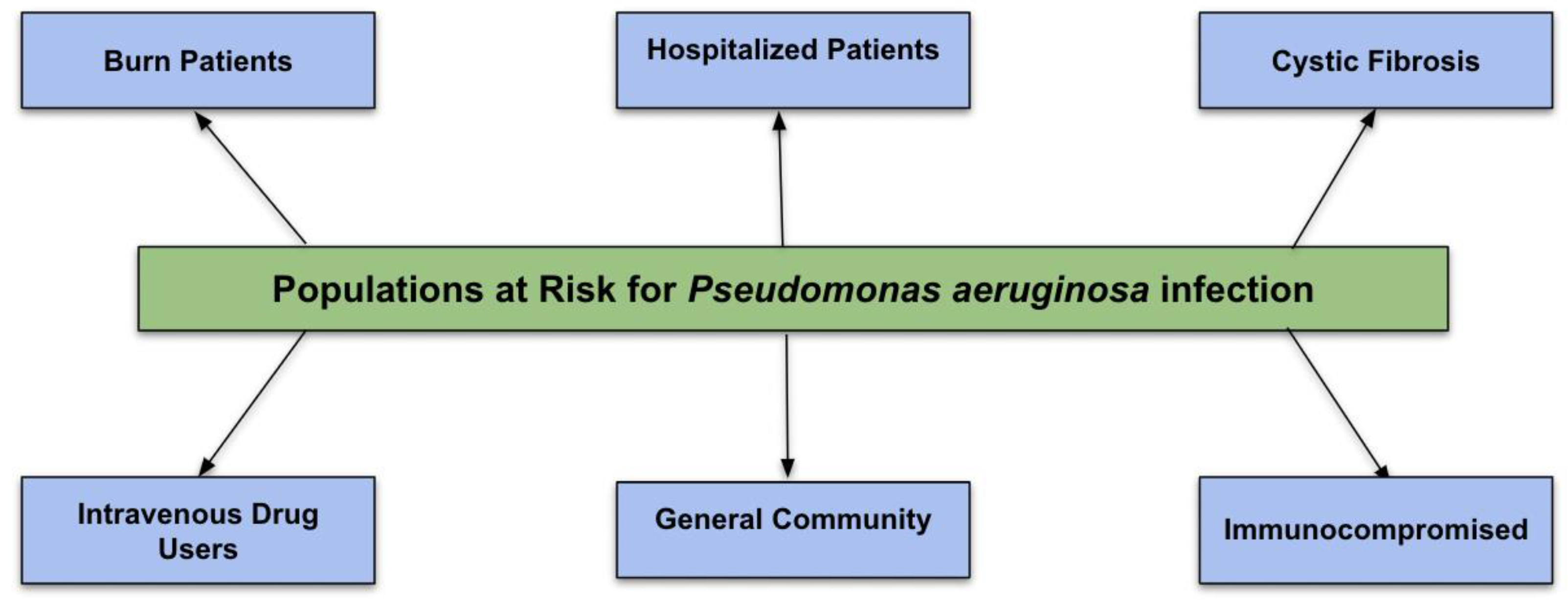 Pathogens 13 00975 g001