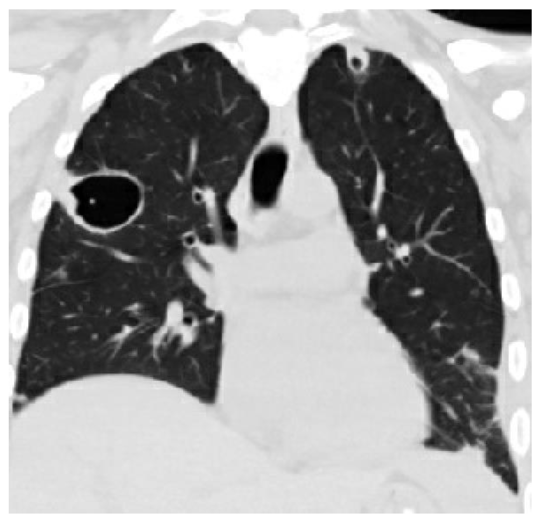 Pathogens 13 00984 g003 Pathogens 13 00984 g003