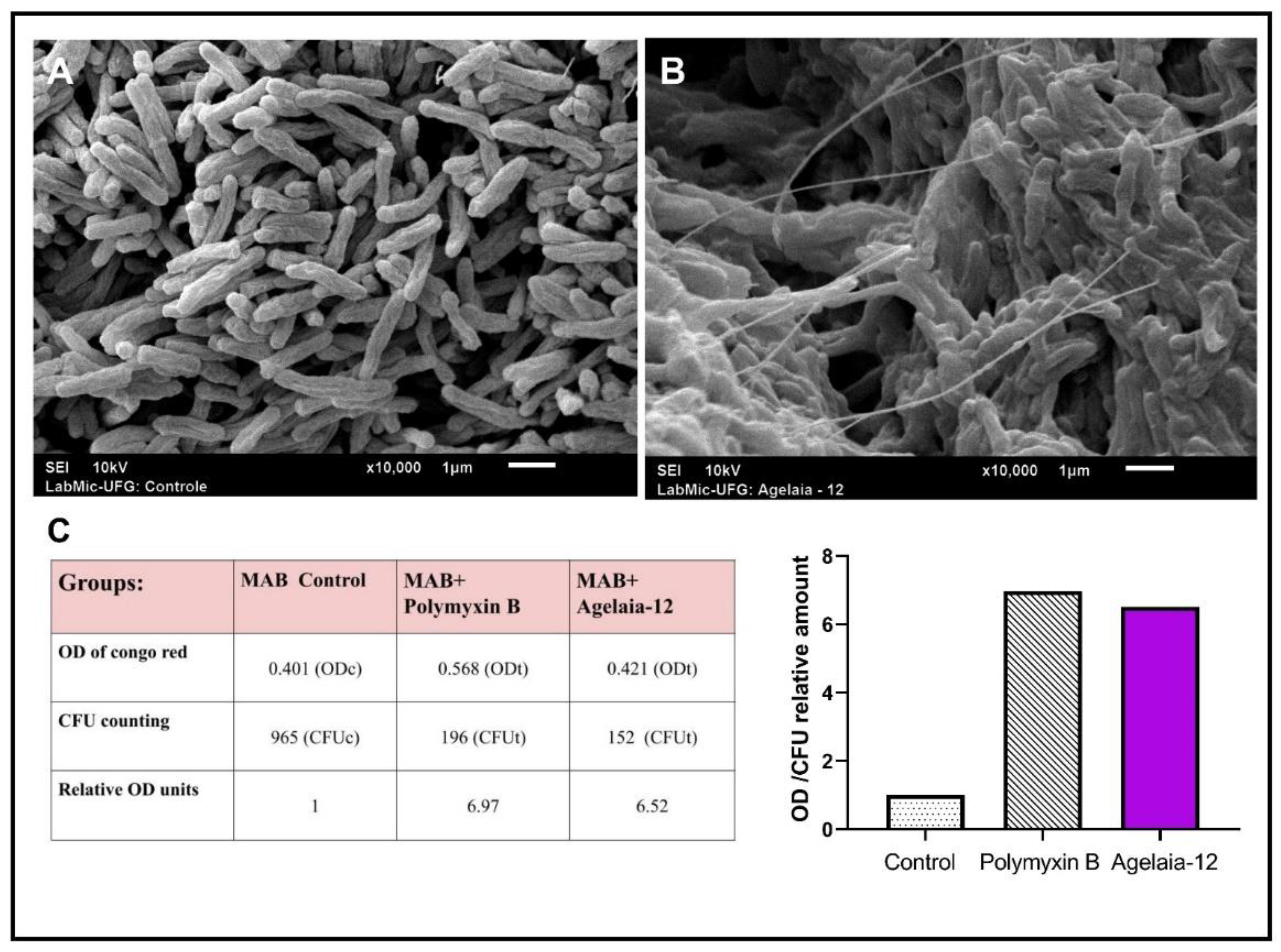Pathogens 13 00994 g003
