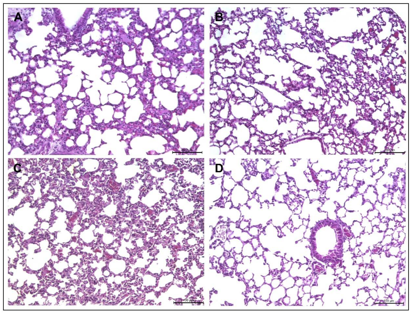 Pathogens 13 00994 g007