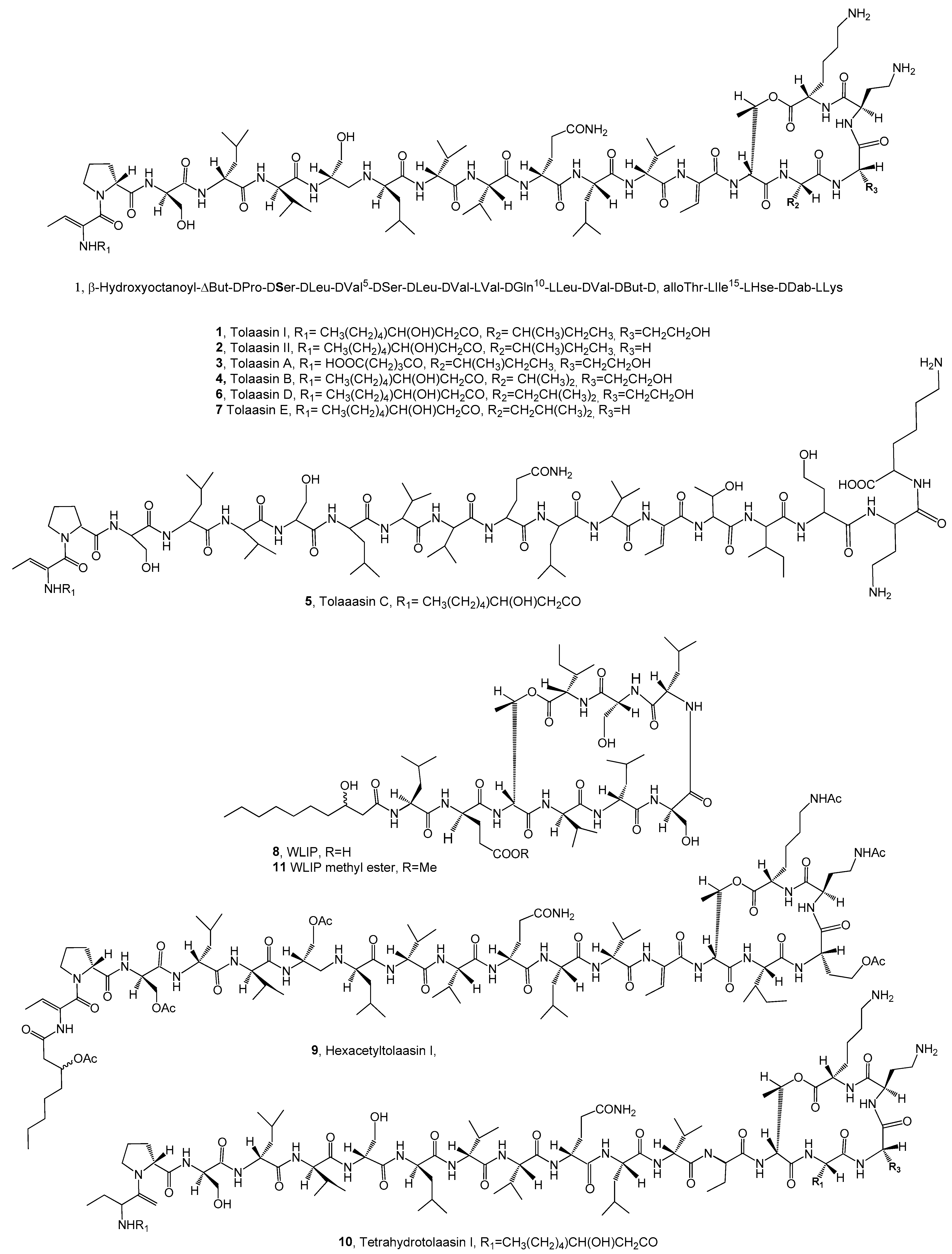Pathogens 13 01000 g001a Pathogens 13 01000 g001a