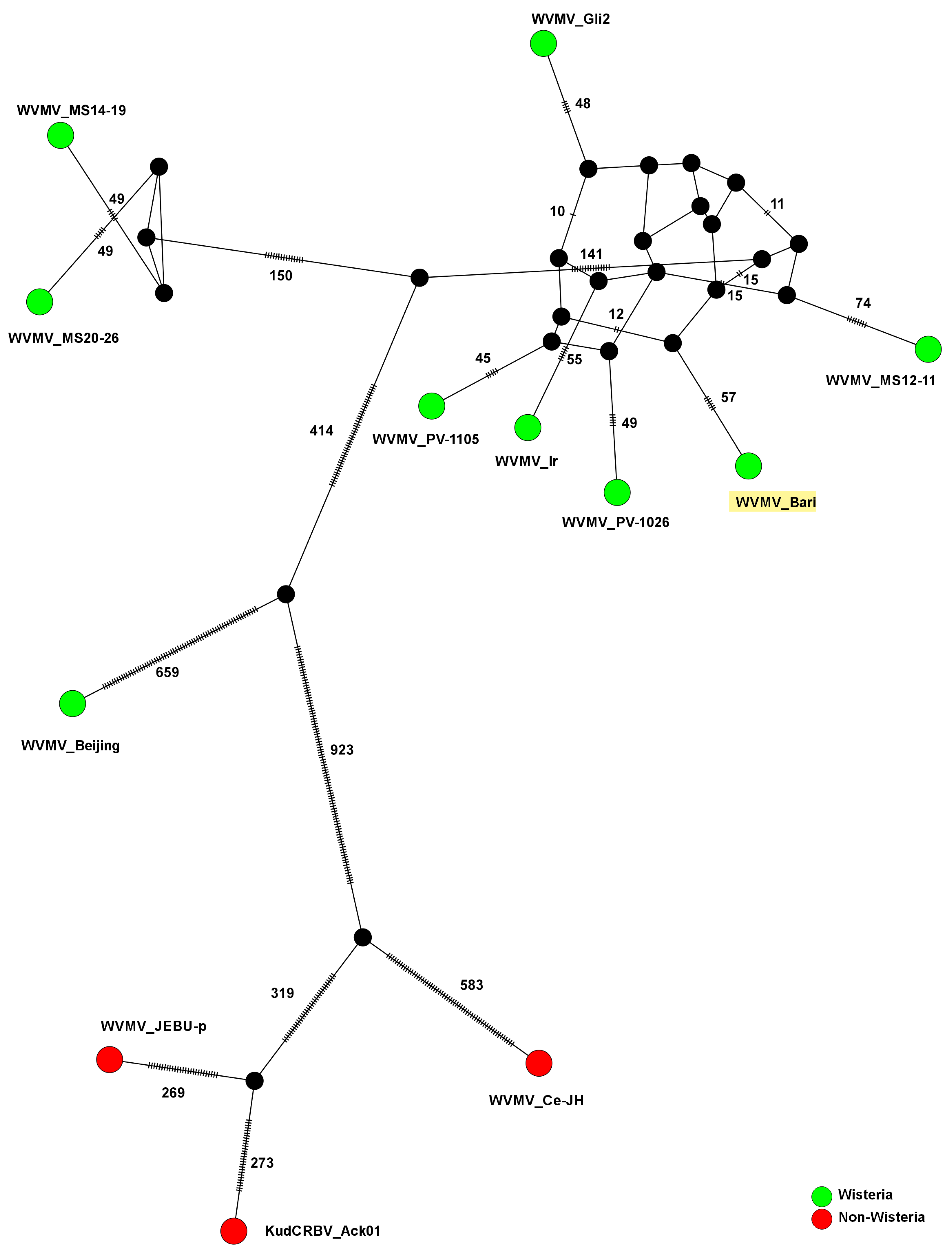 Pathogens 13 01001 g006 Pathogens 13 01001 g006