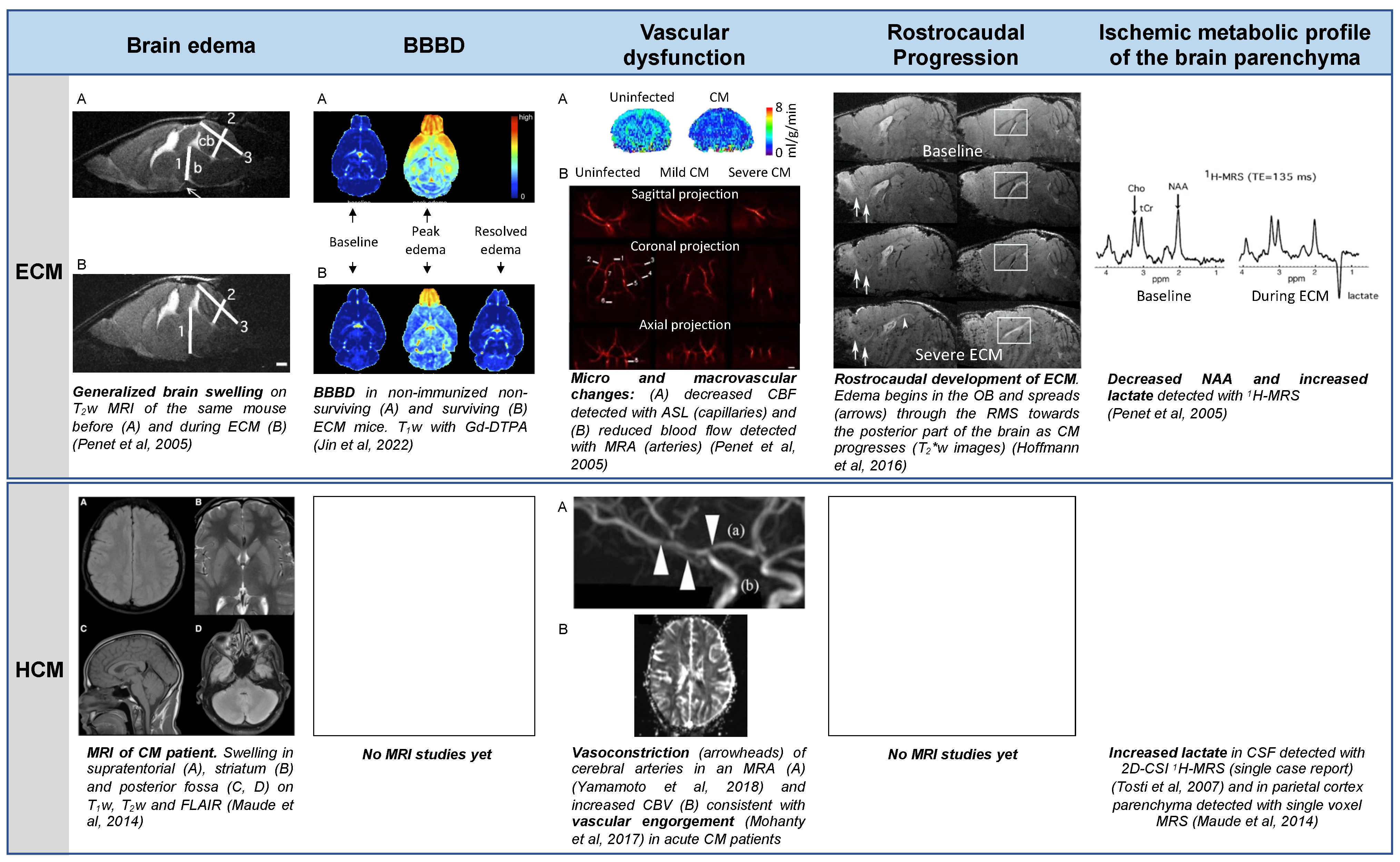 Pathogens 13 01042 g001