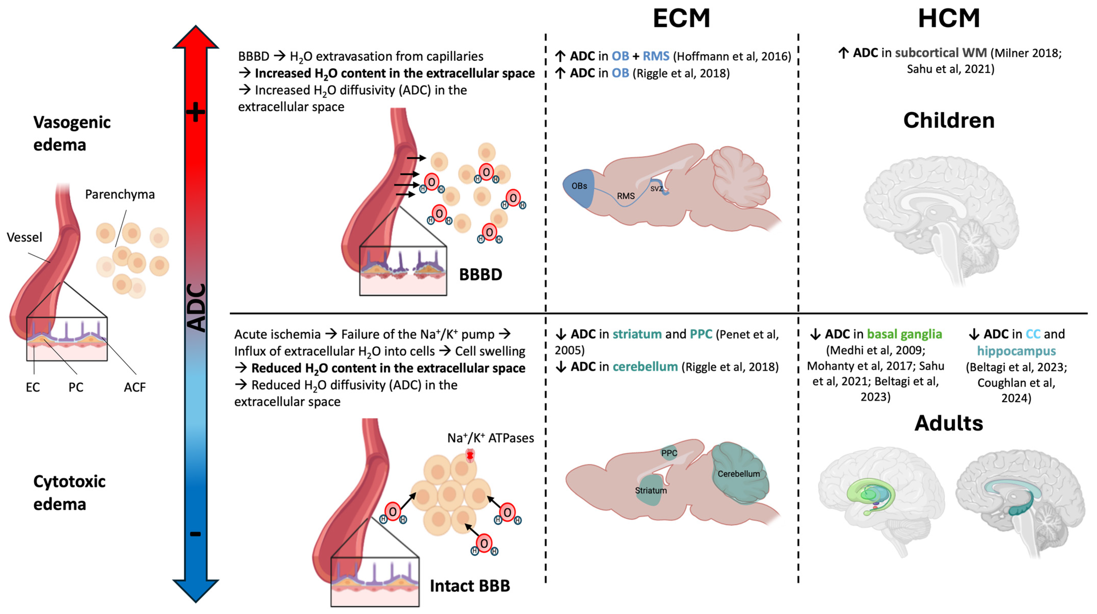 Pathogens 13 01042 g002