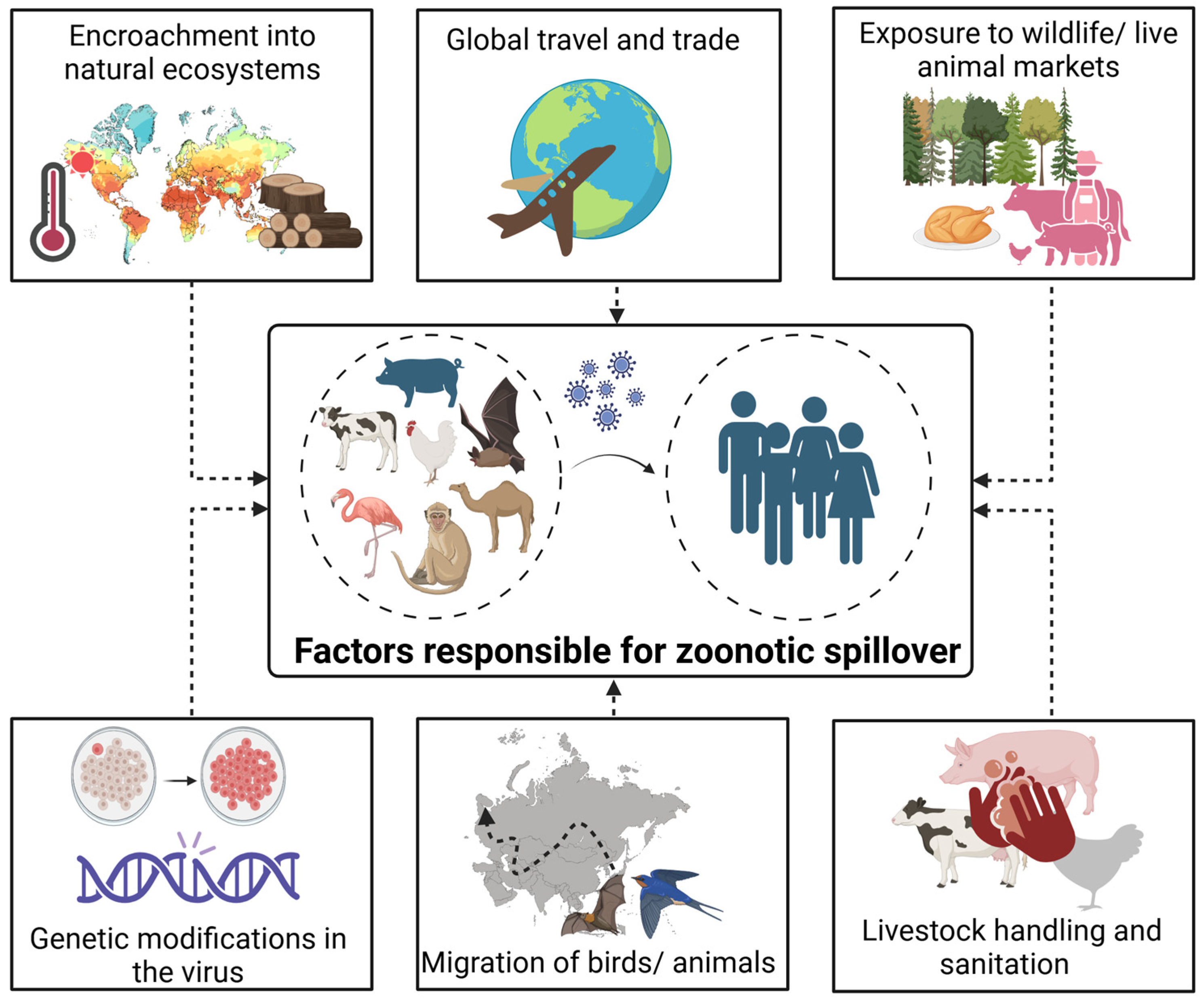 Pathogens 13 01067 g001