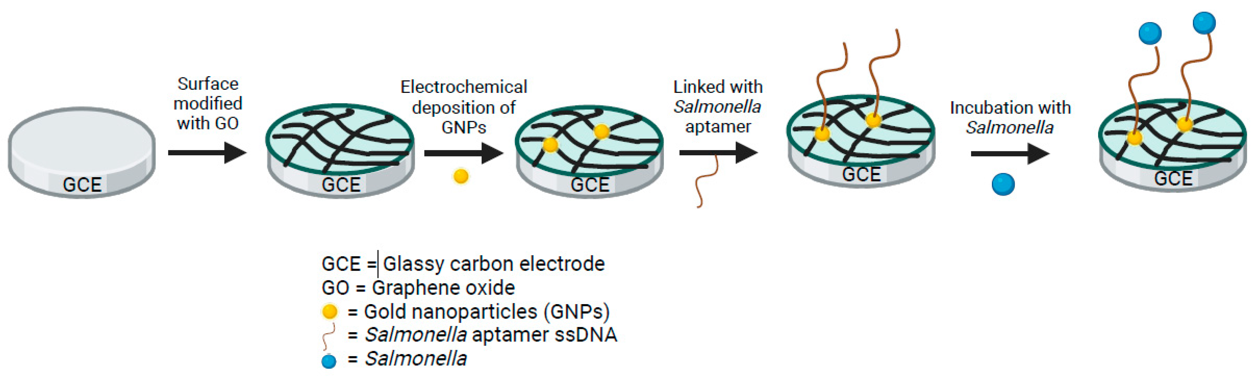 Pathogens 13 01075 g001