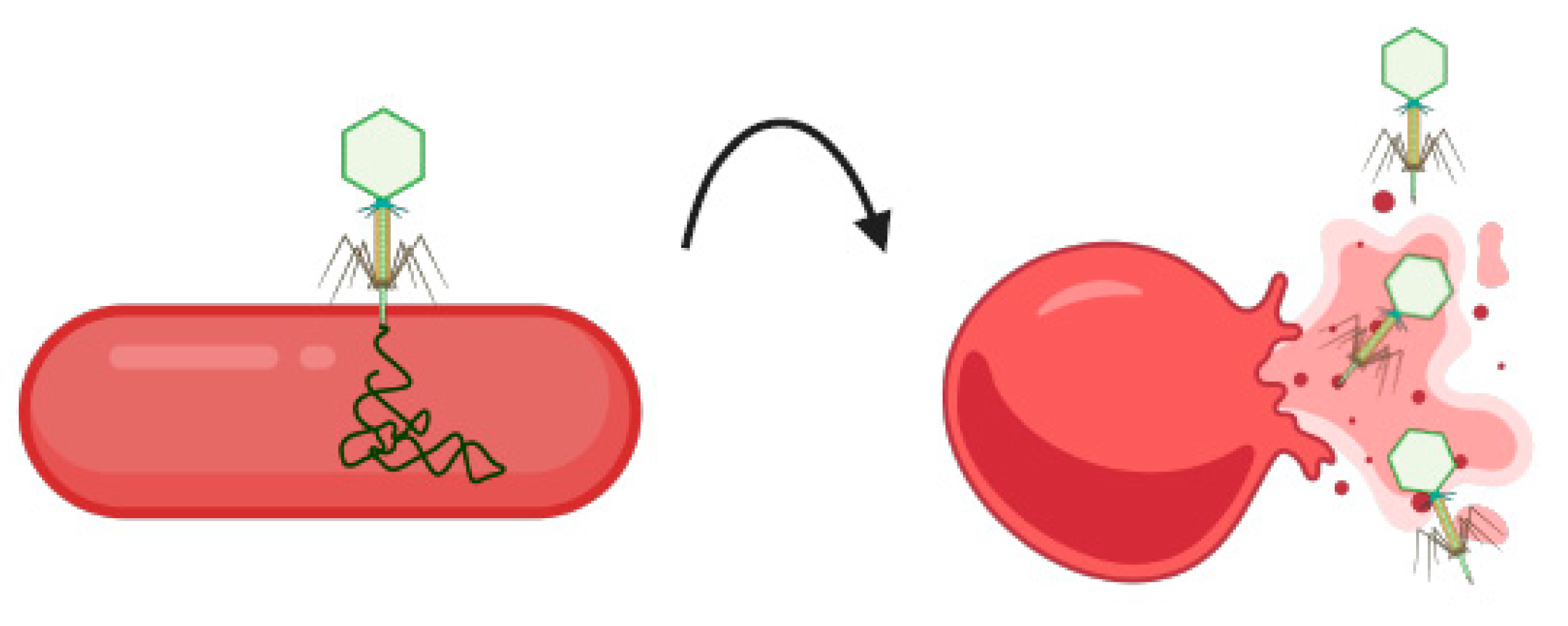 Pathogens 13 01075 g004