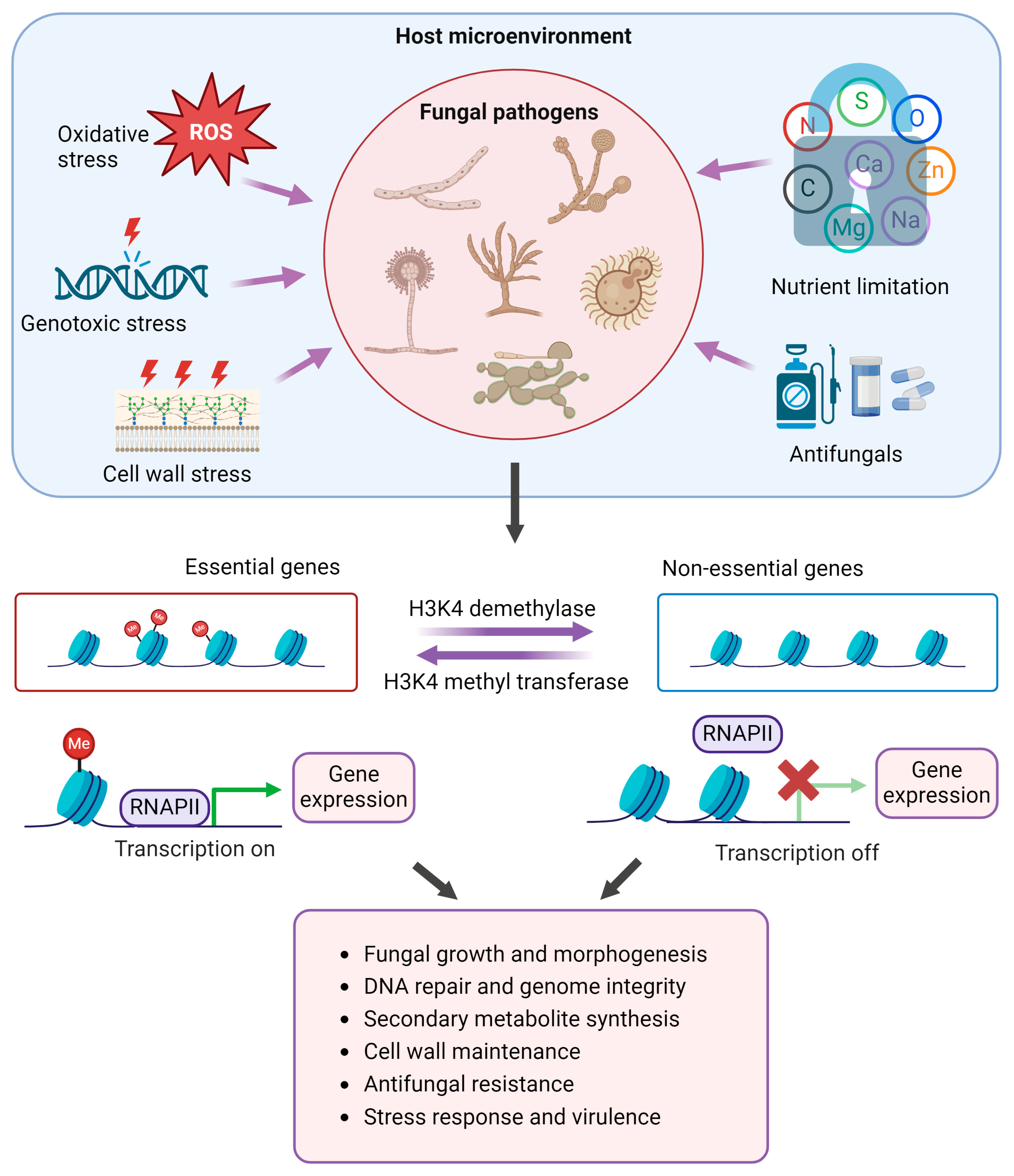 Pathogens 13 01080 g002