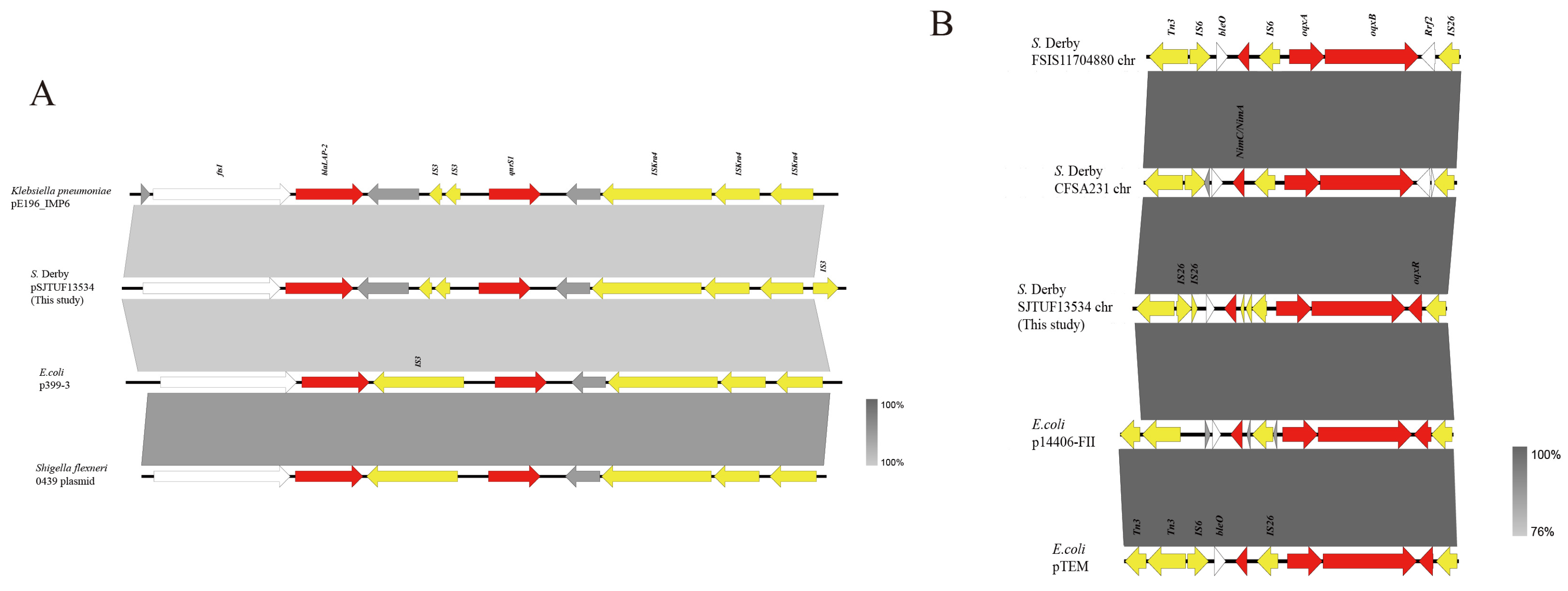 Pathogens 13 01126 g003