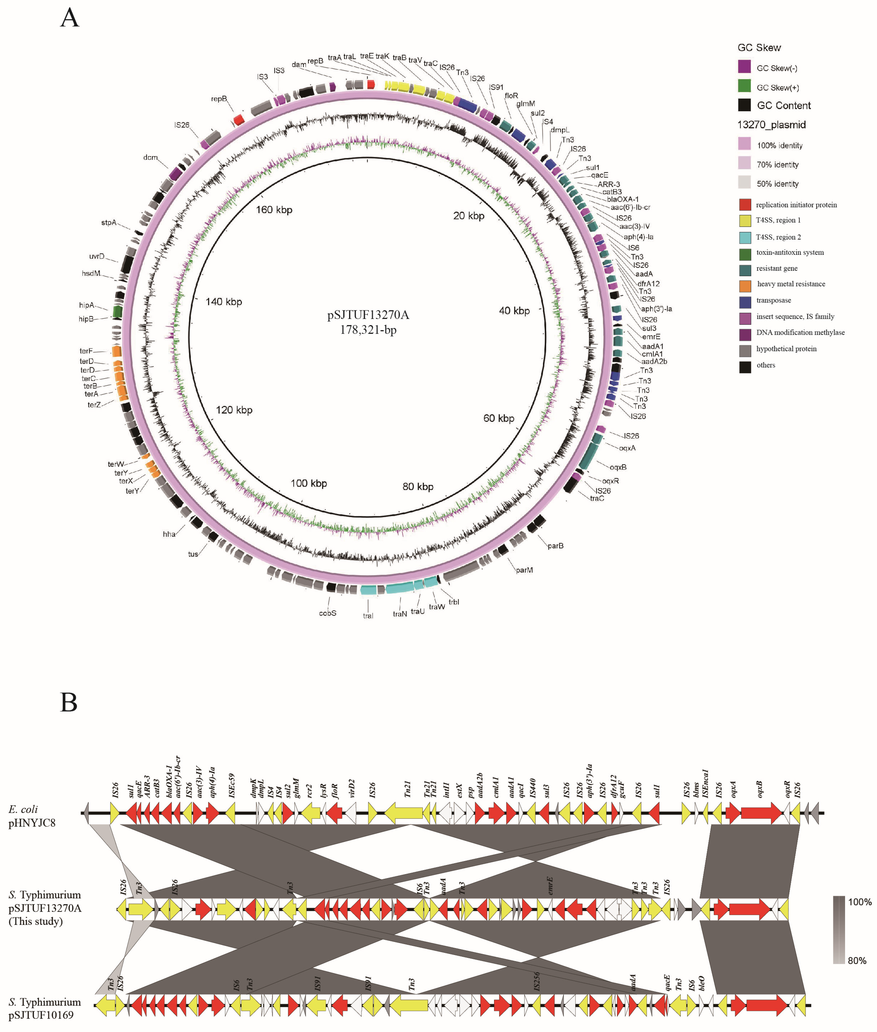 Pathogens 13 01126 g004