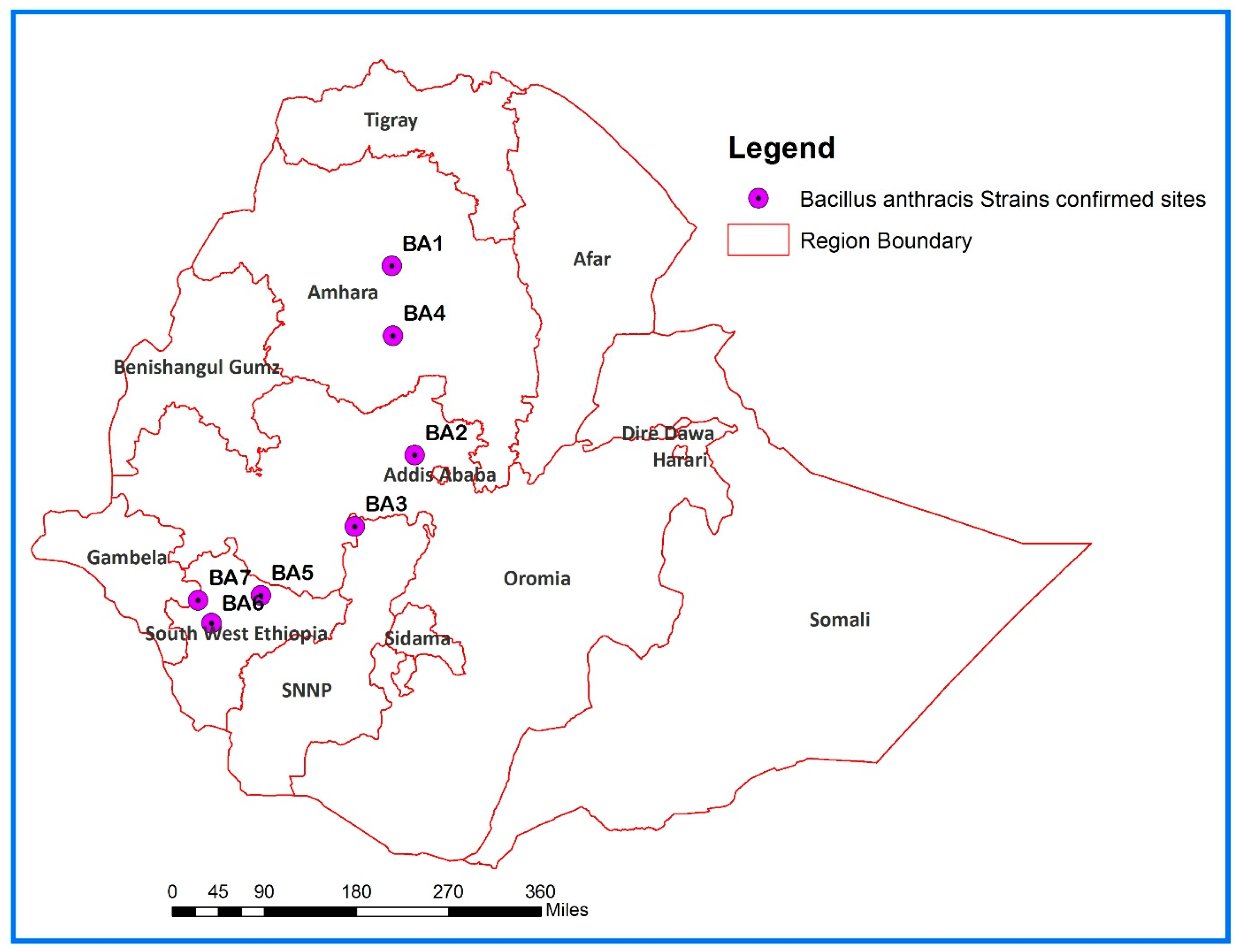 Pathogens 14 00039 g001 Pathogens 14 00039 g001