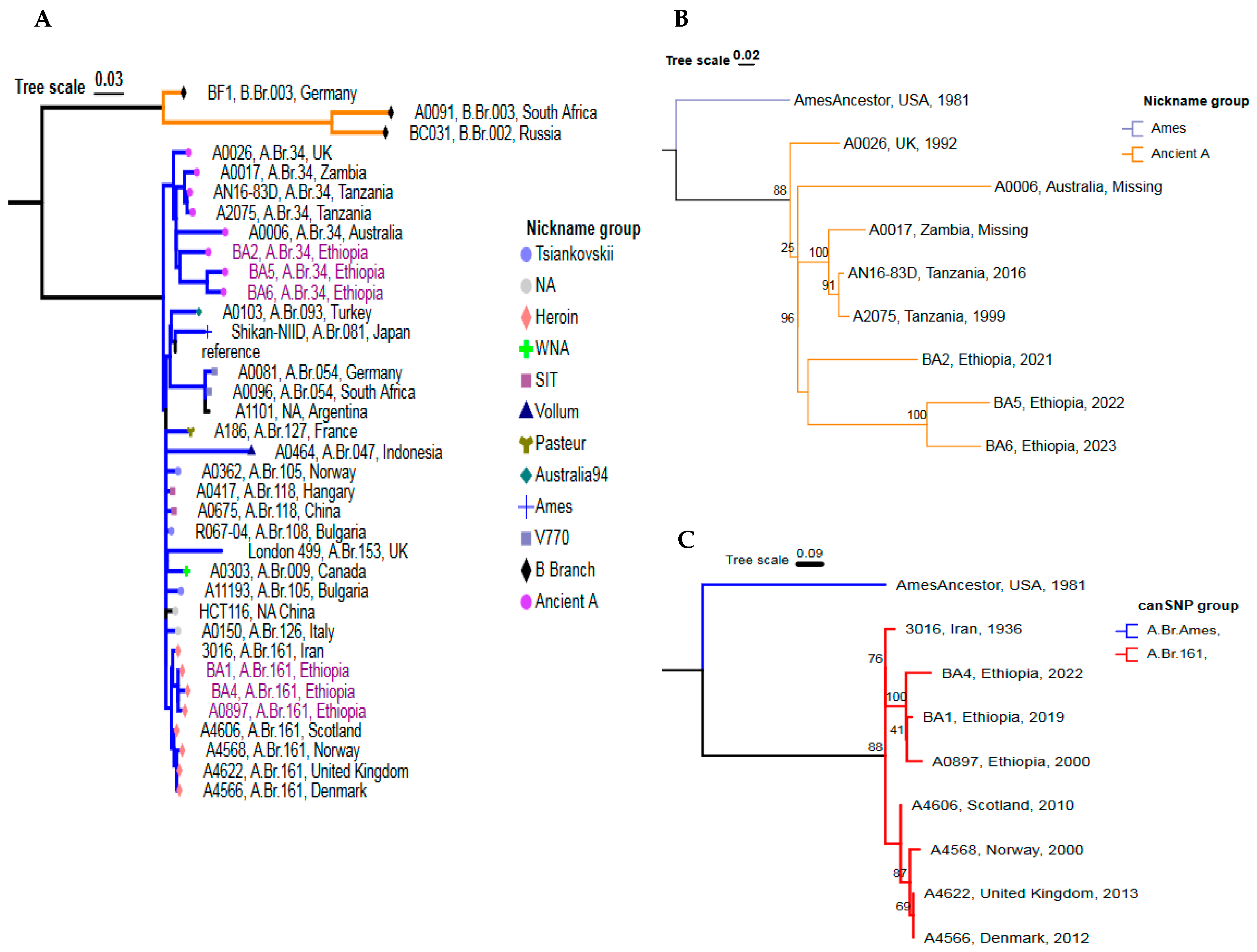 Pathogens 14 00039 g004 Pathogens 14 00039 g004