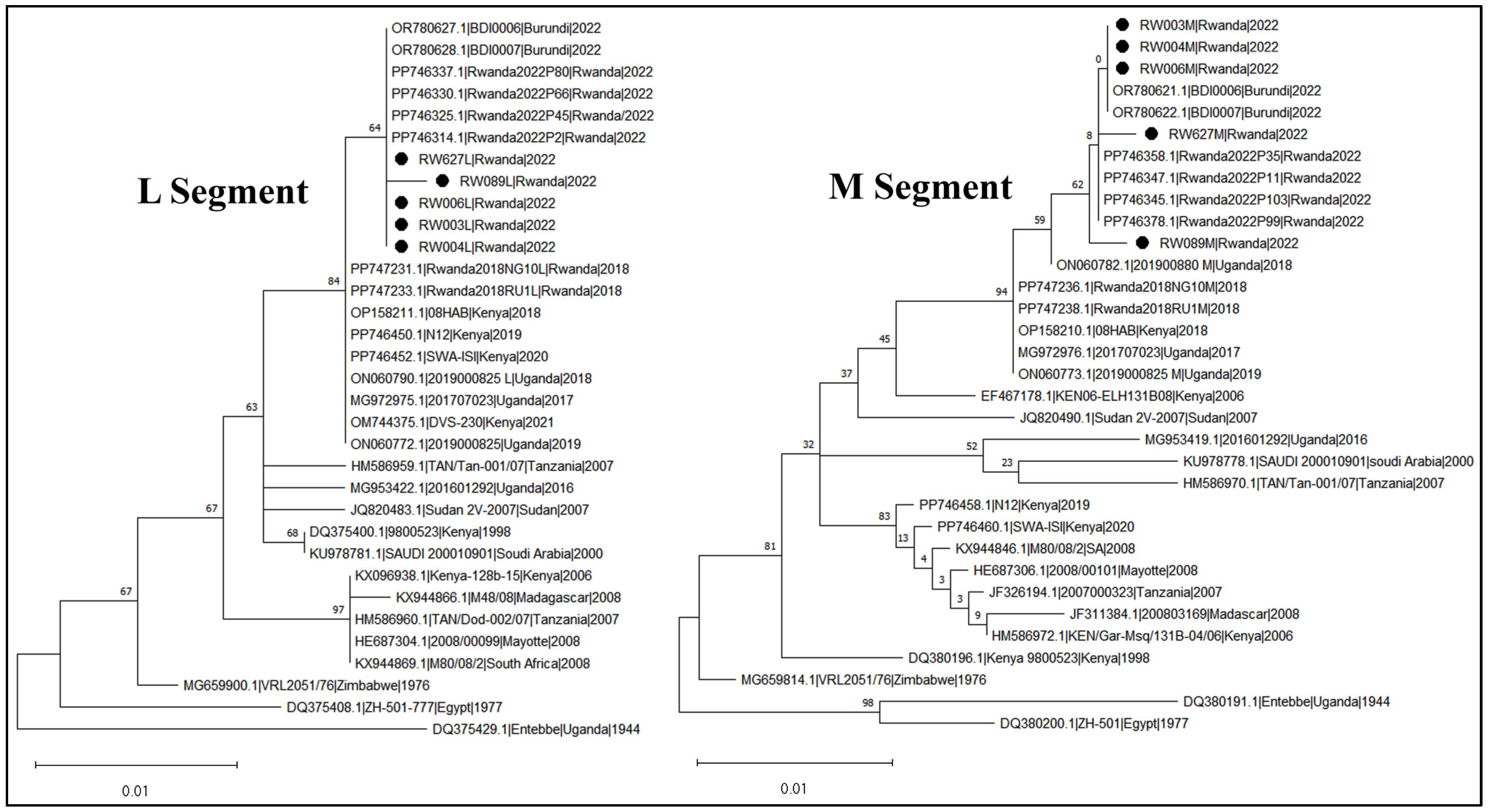 Pathogens 14 00047 g002