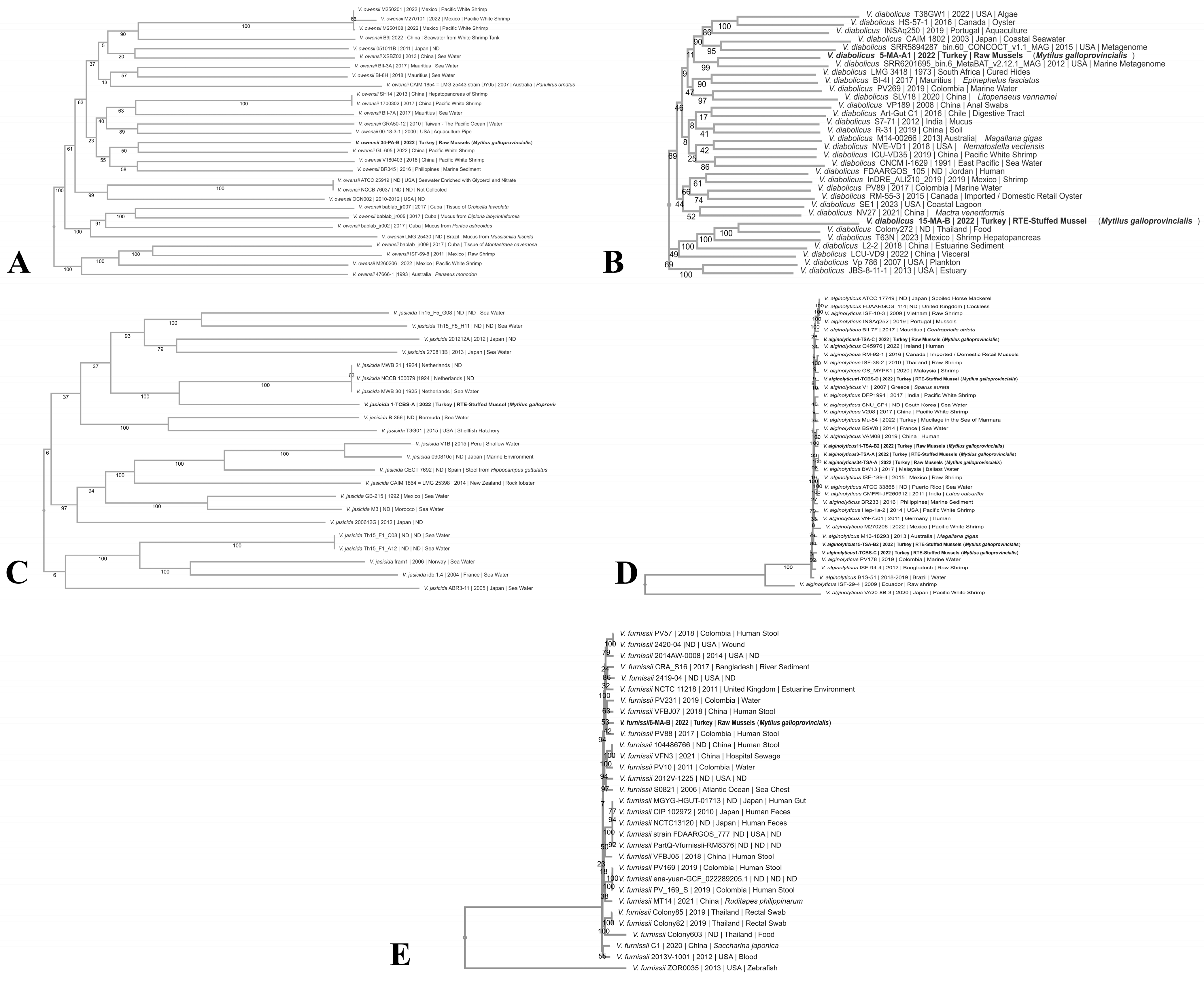 Pathogens 14 00052 g001