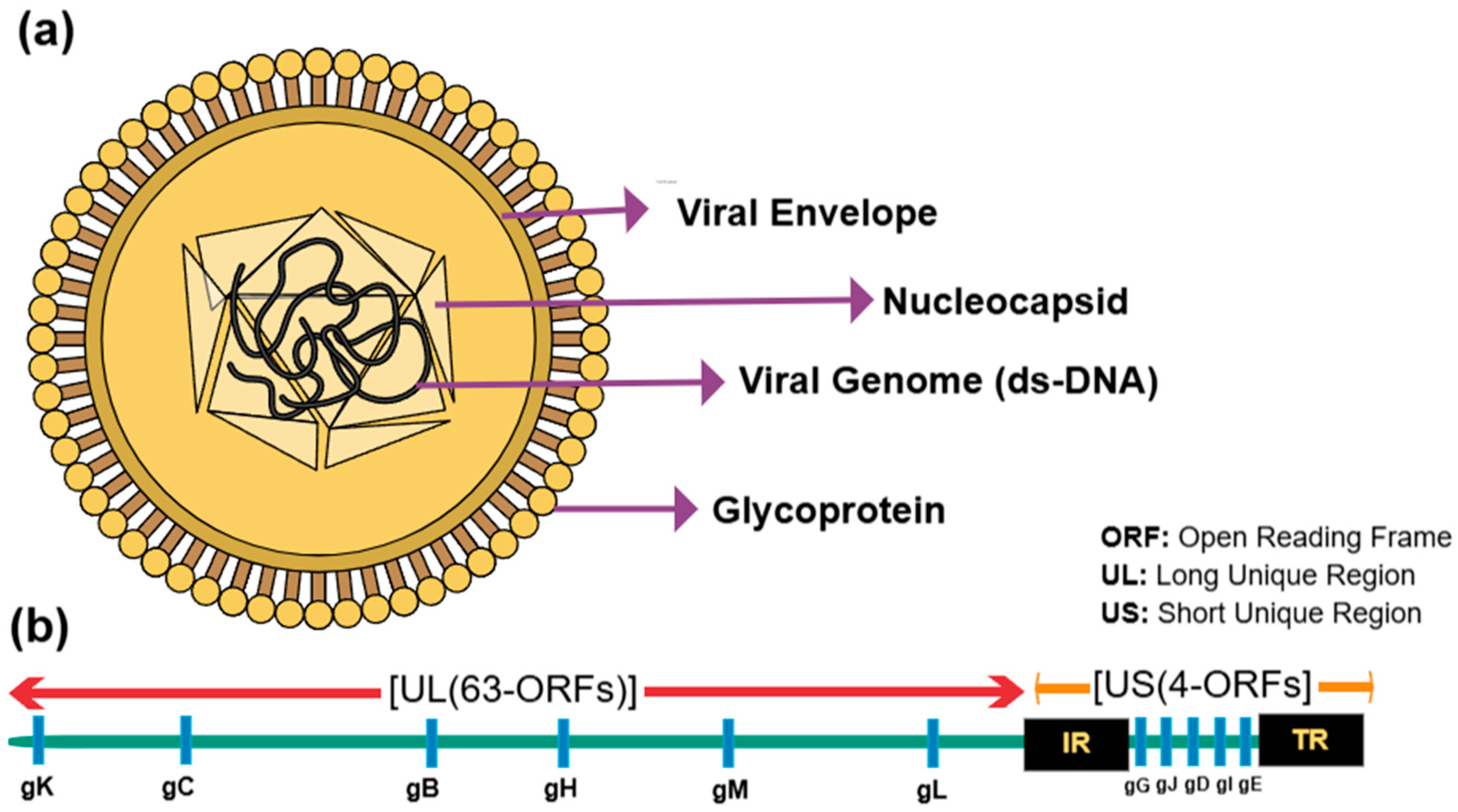 Pathogens 14 00055 g001