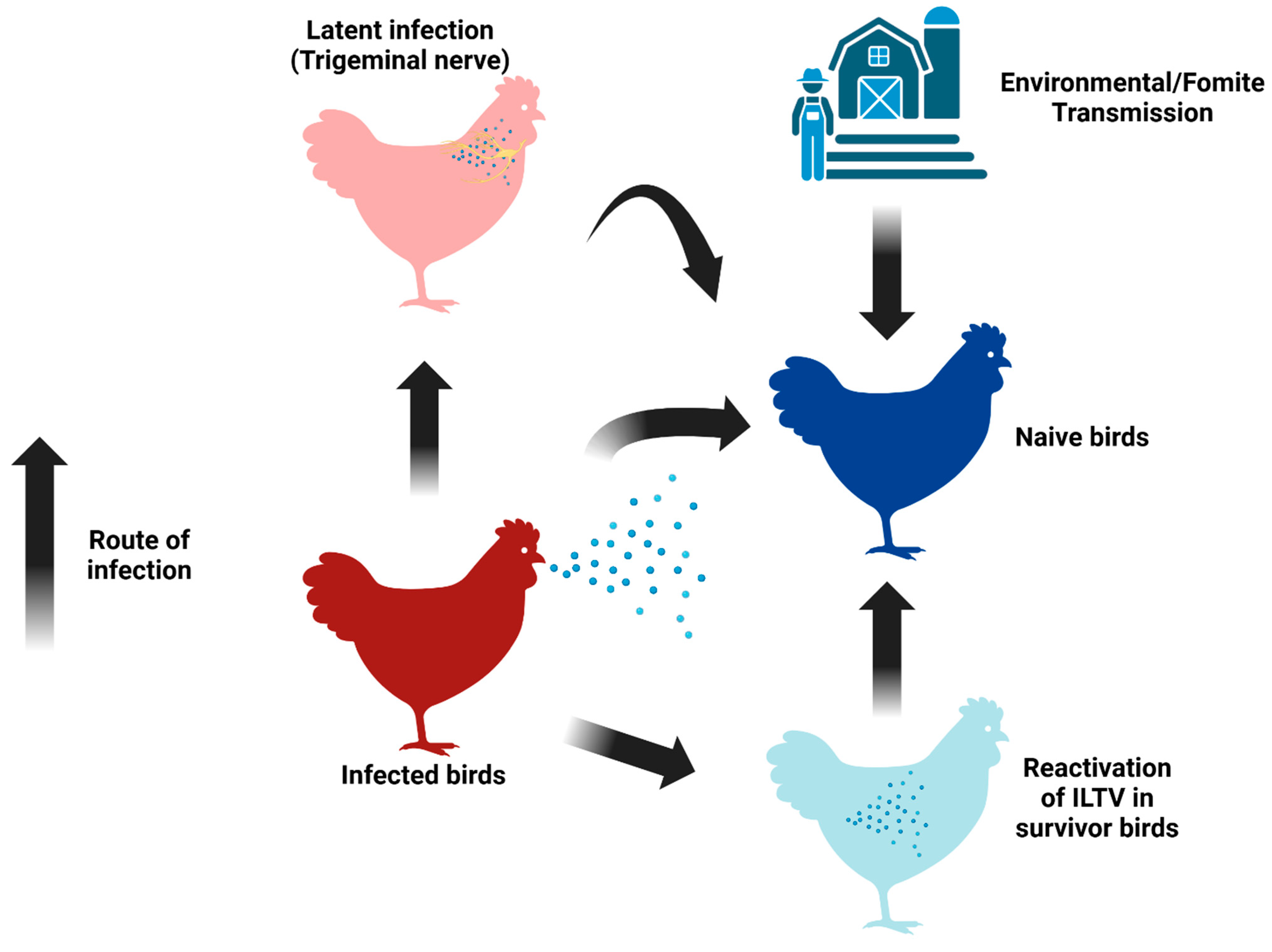 Pathogens 14 00055 g003