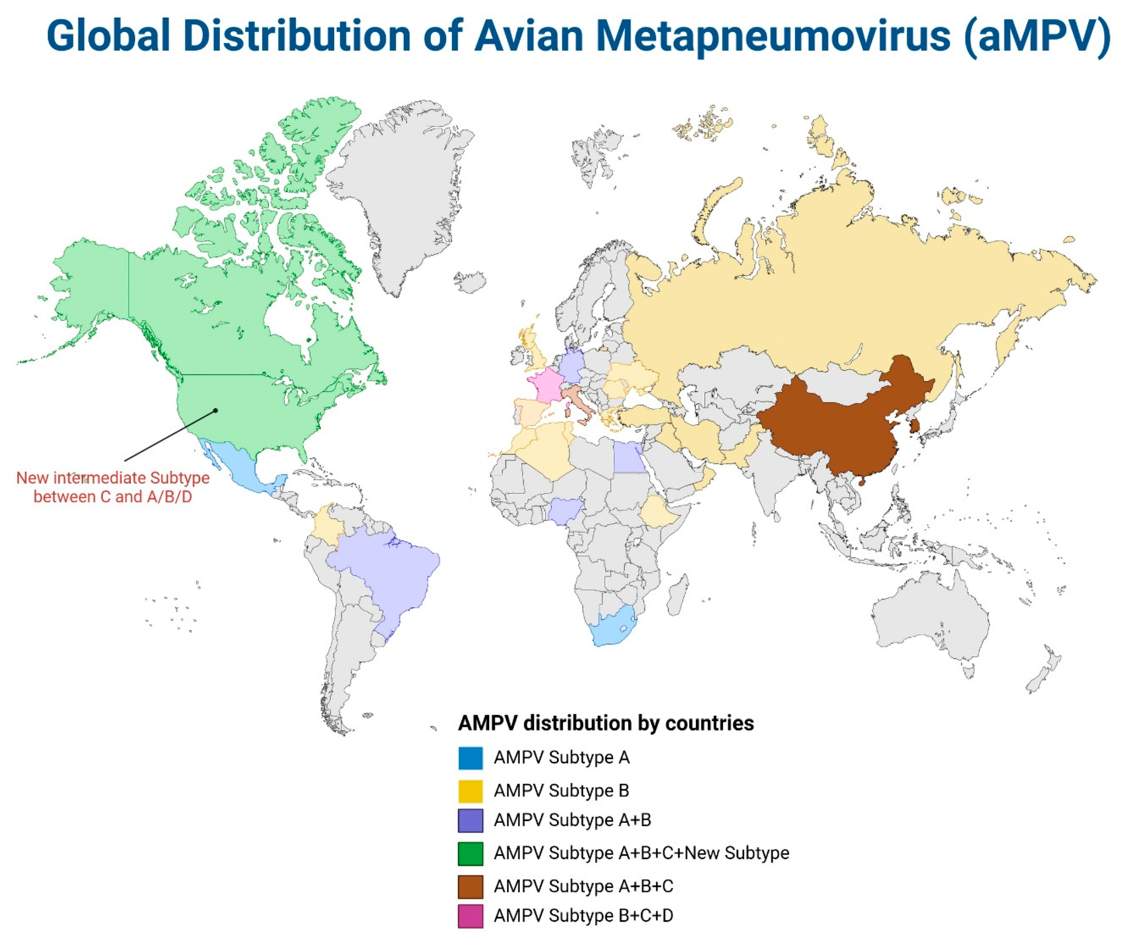 Pathogens 14 00055 g006