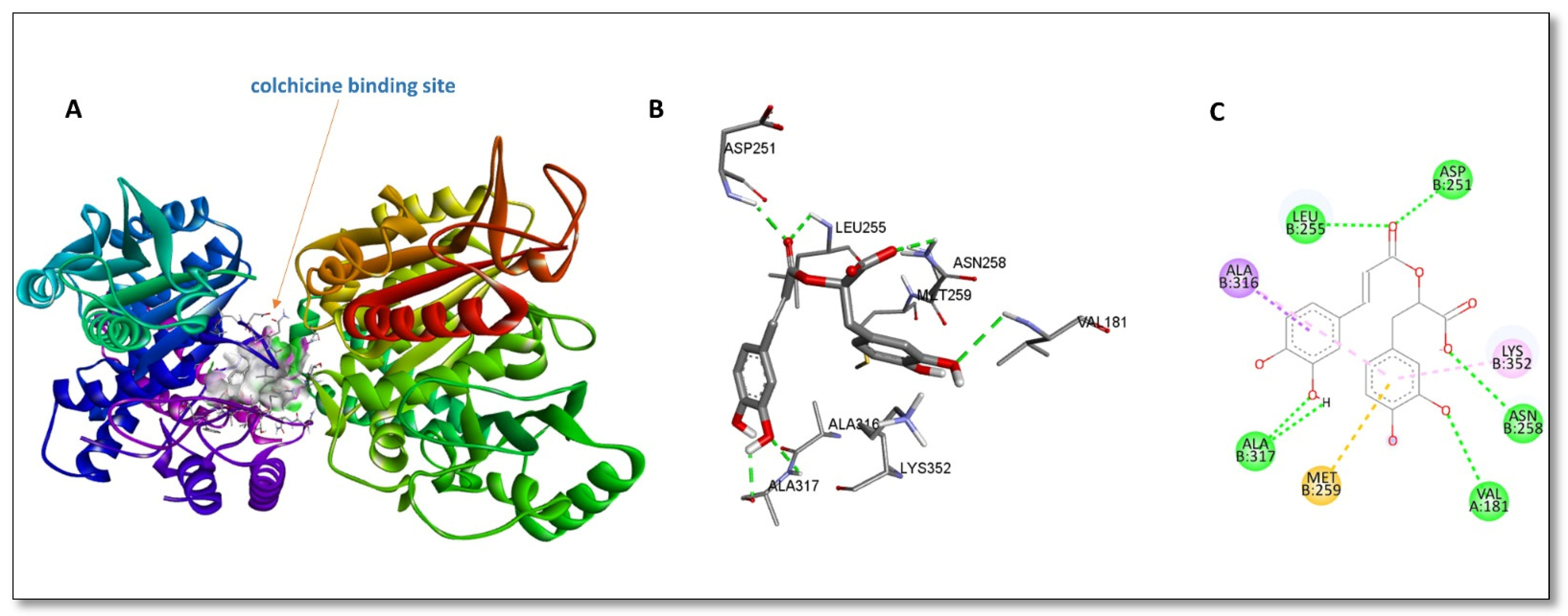 Pathogens 14 00077 g002