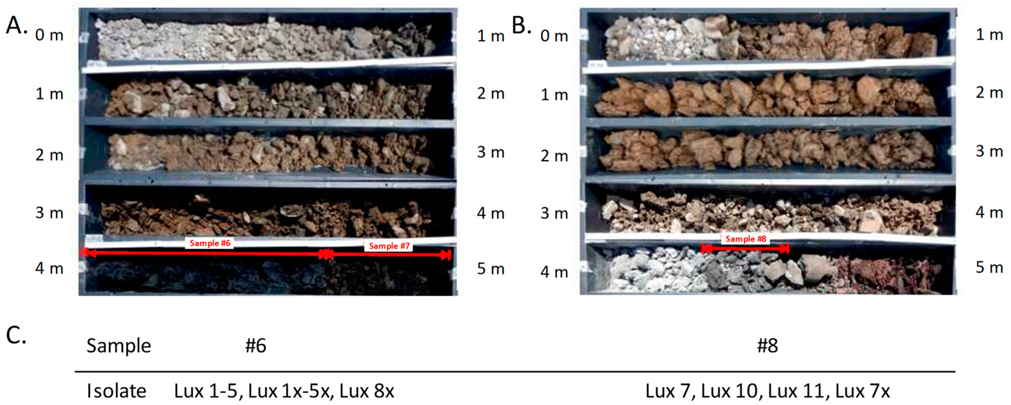 Pathogens 14 00083 g001