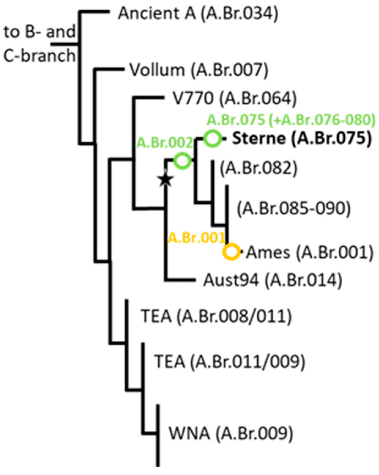 Pathogens 14 00083 g002