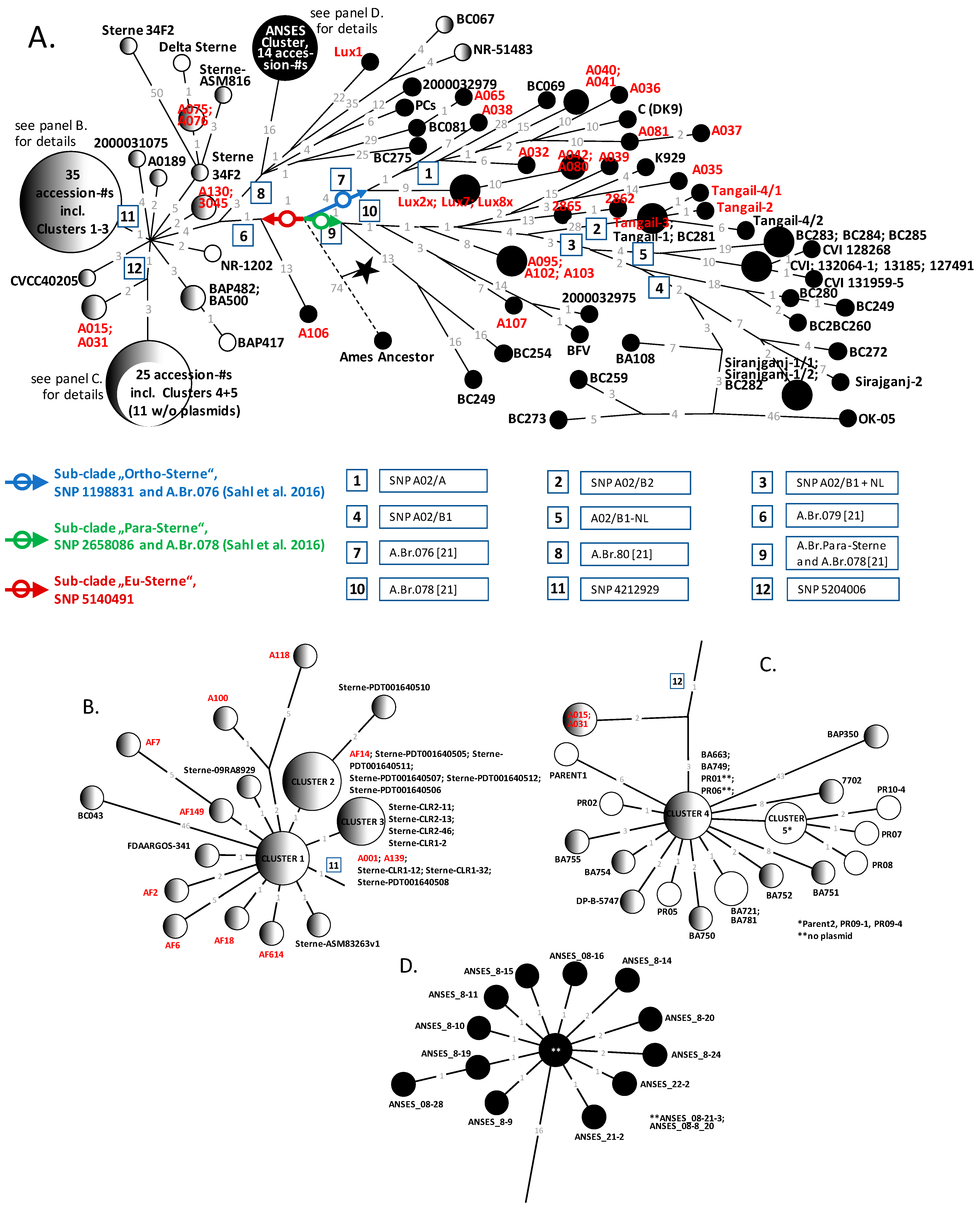 Pathogens 14 00083 g003
