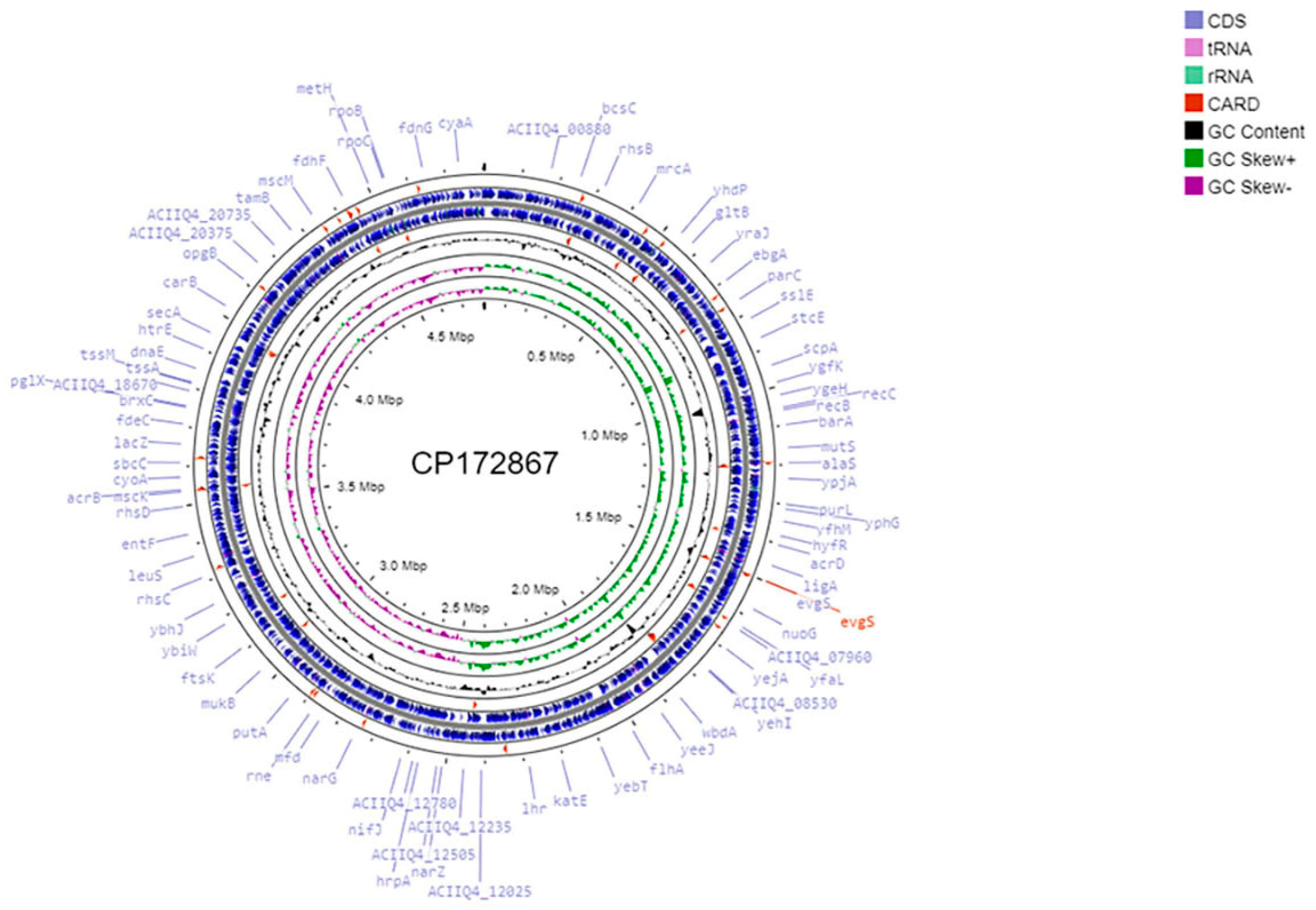 Pathogens 14 00090 g001
