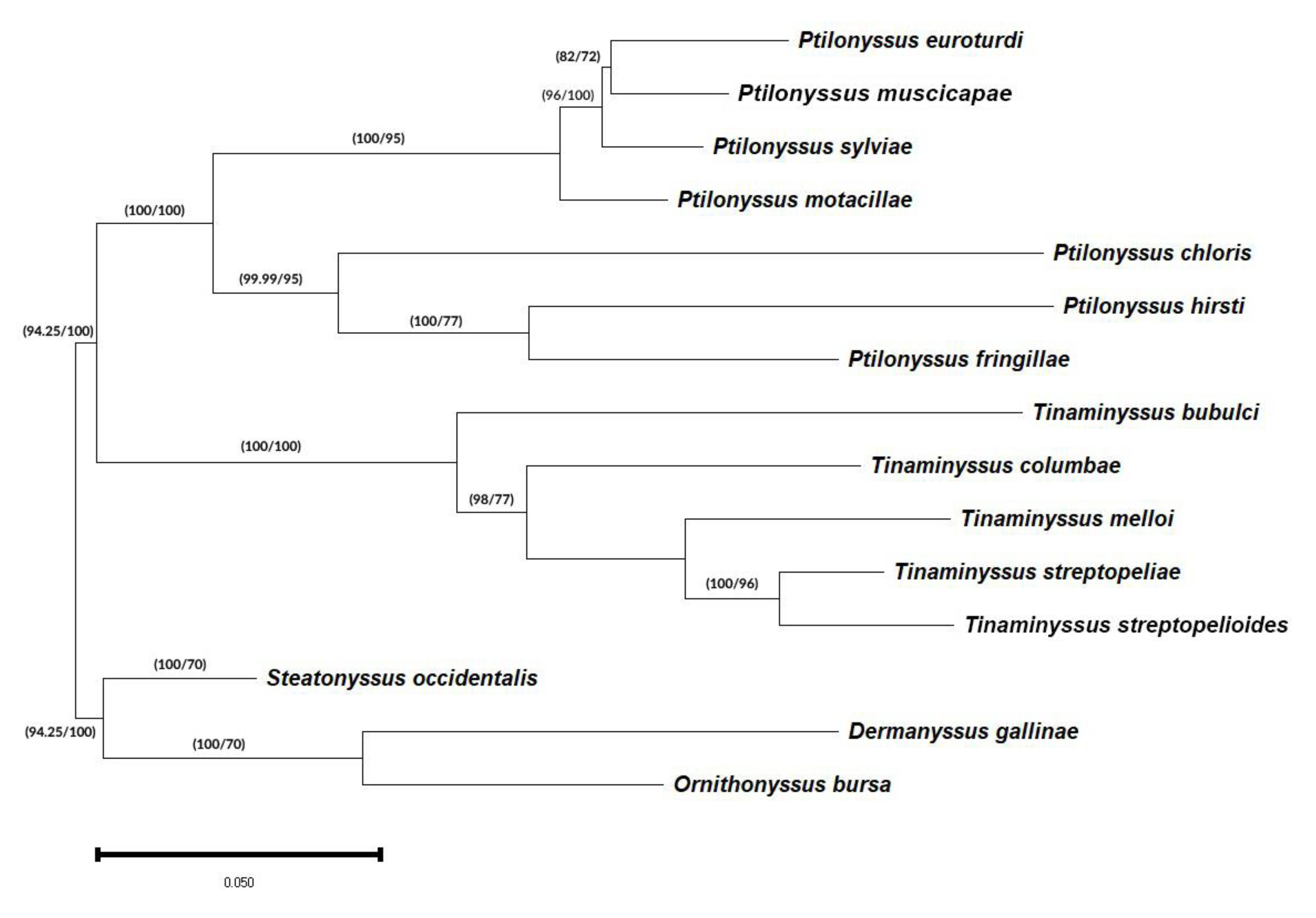 Pathogens 14 00156 g001