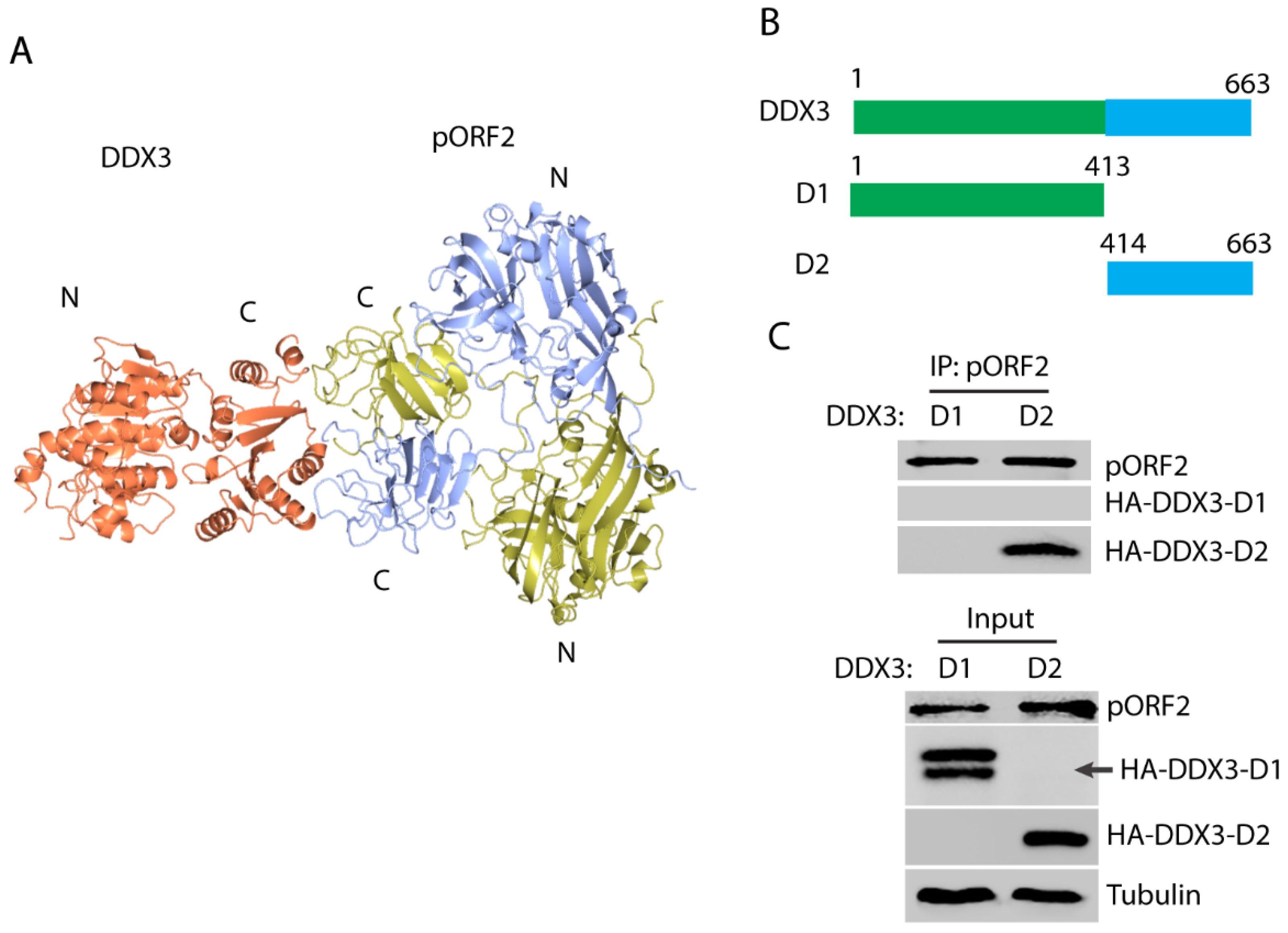 Pathogens 14 00177 g003
