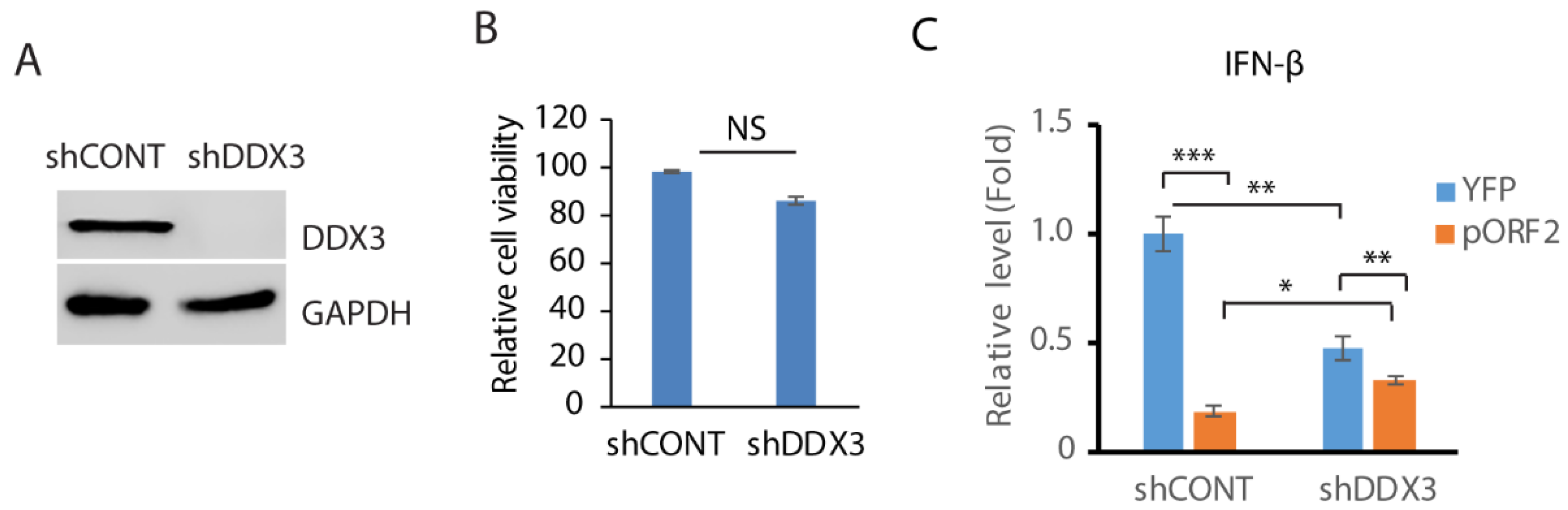 Pathogens 14 00177 g004