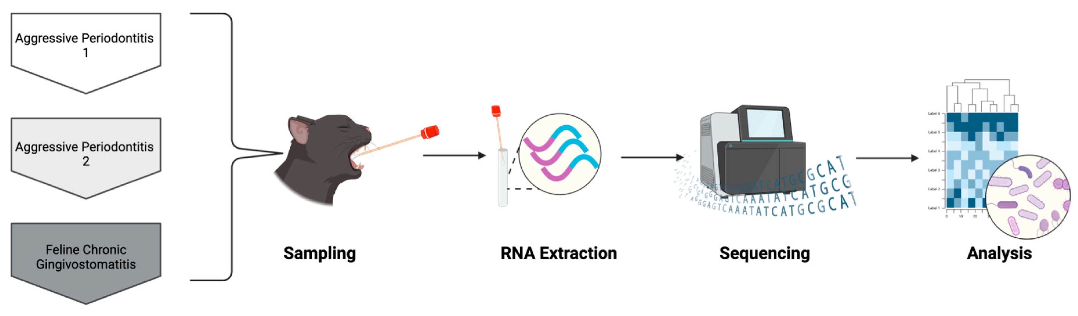 Pathogens 14 00228 g001