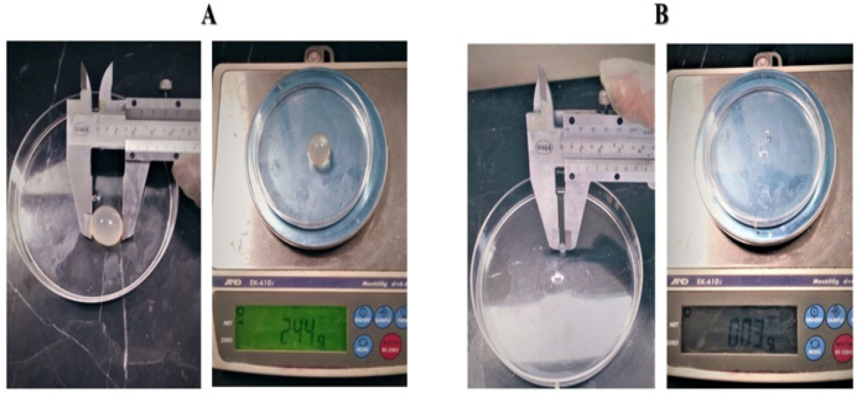 Pathogens 14 00240 g001