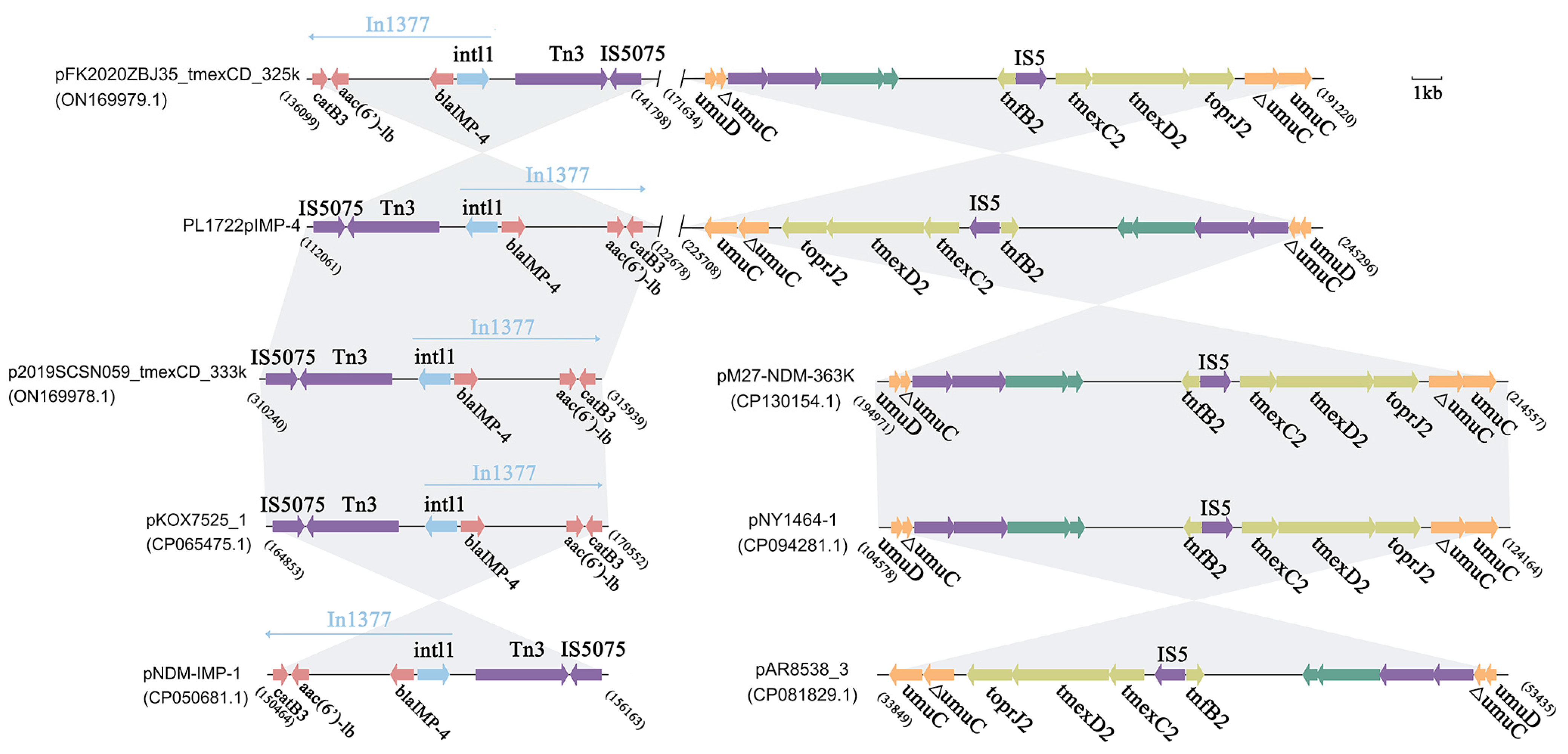 Pathogens 14 00253 g005